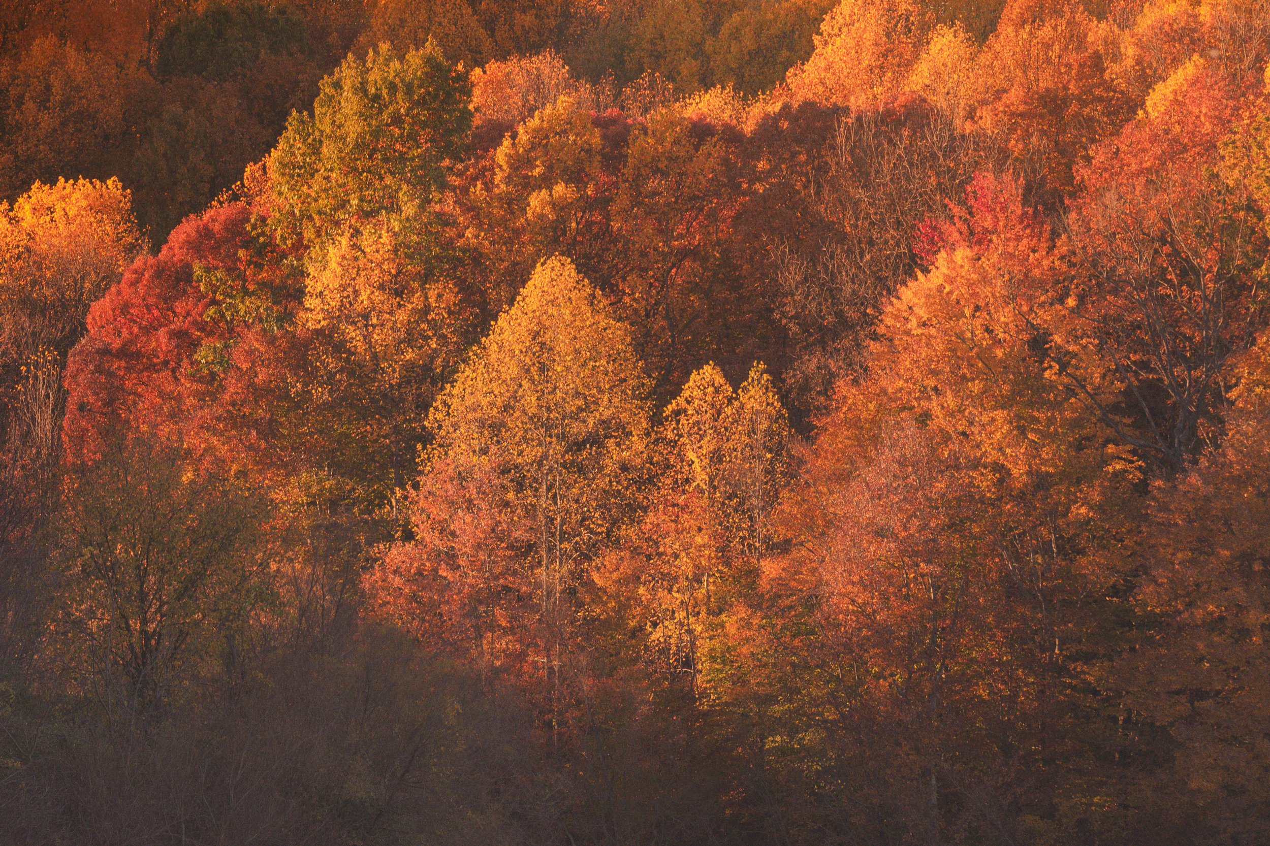 October's Final Glow - Chambers Lake, Downingtown, Pennsylvania