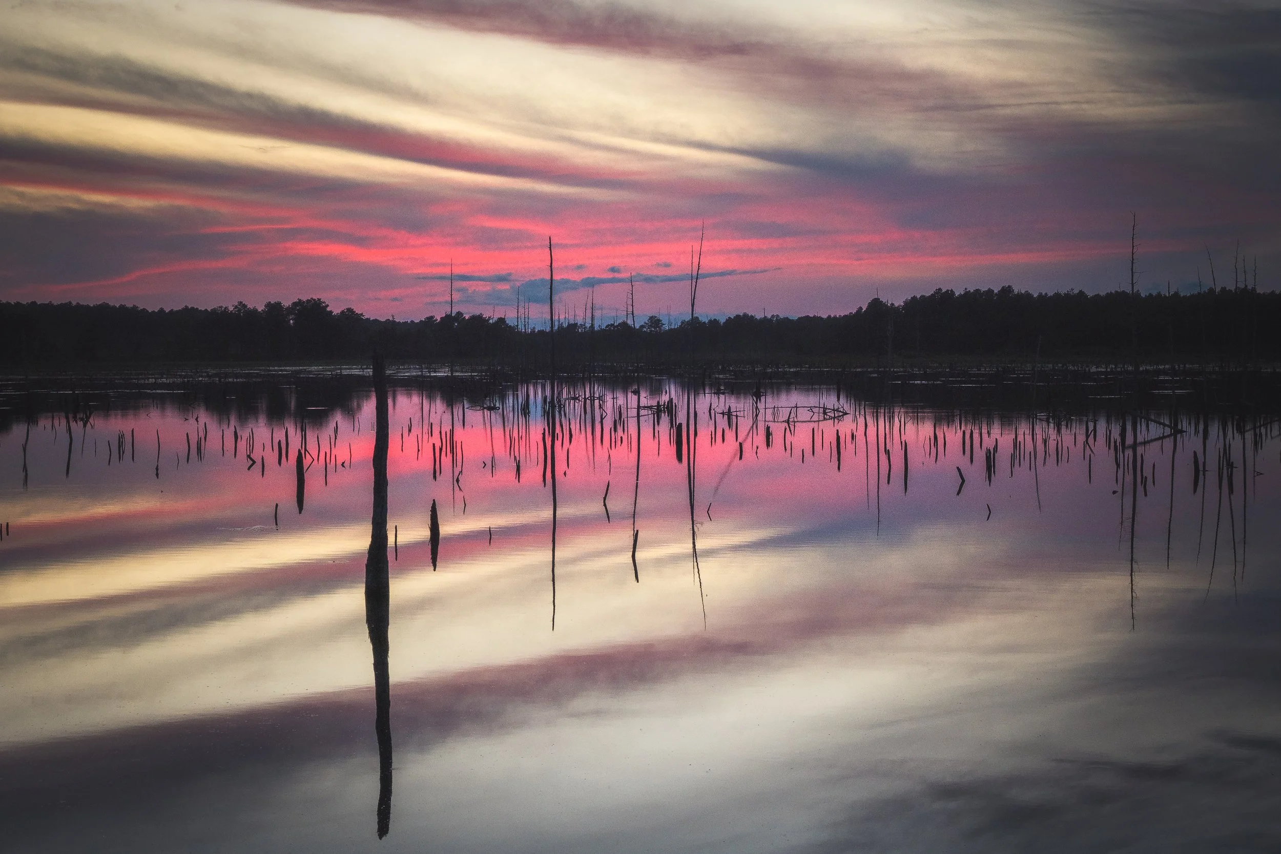 Franklin-Parker-Sunset-Pine-Barrens-06-08-2025.jpg