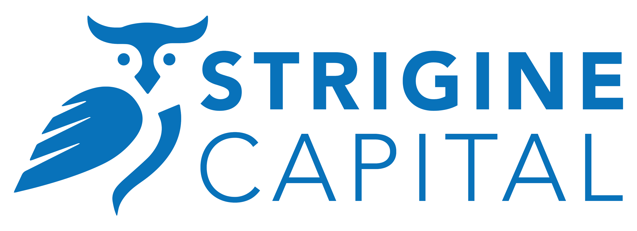 Logo of Intrigue Capital featuring a stylized blue bull's head and the company name in blue text.
