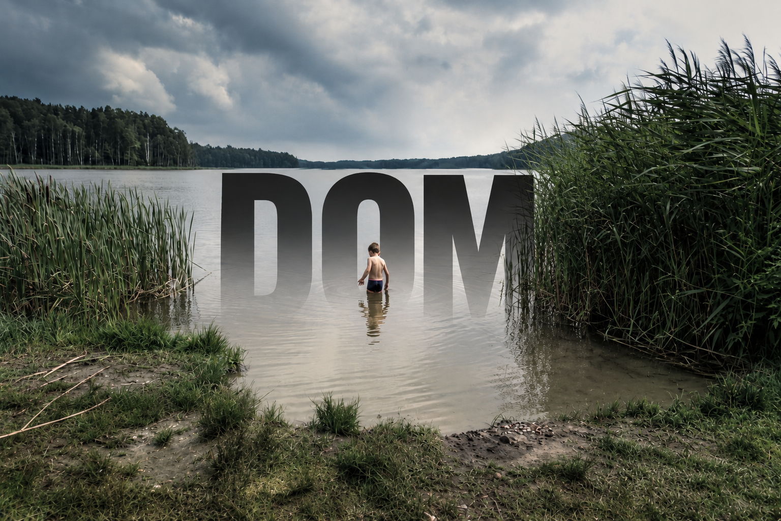 DOM