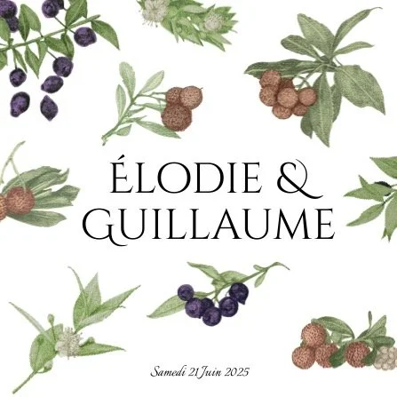 Sara Van Pee artist wedding illustration invitations