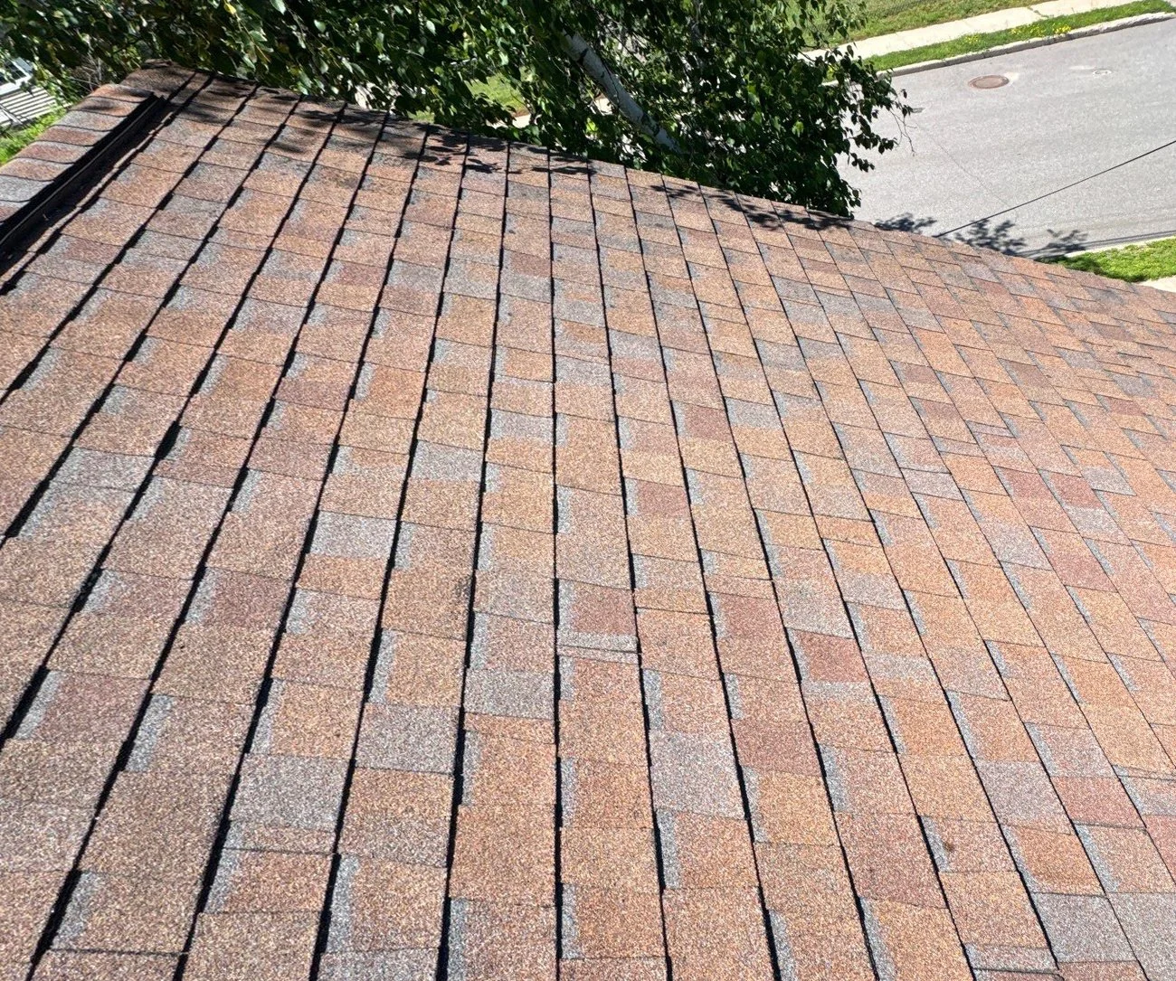 Close-up view of a roof with reddish-brown asphalt shingles in a pattern.