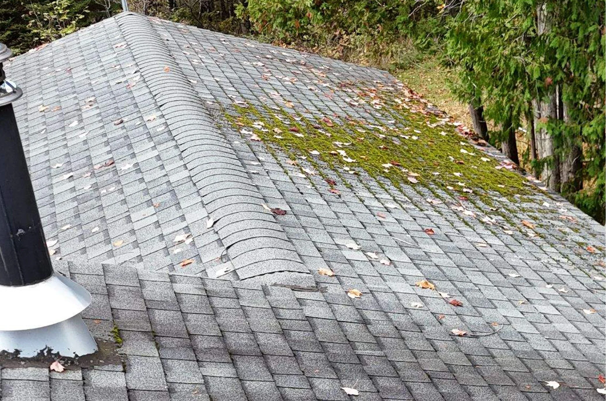 A roof with gray shingles, some moss and fallen leaves on it, next to a green hedge and trees.