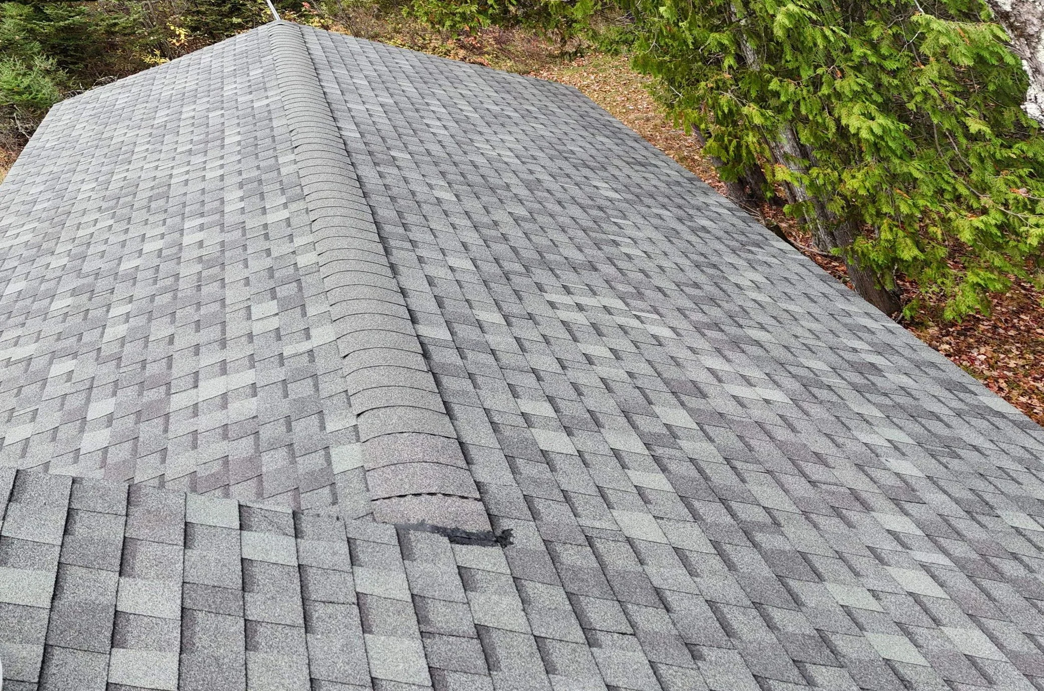 Close-up view of a roof covered with gray asphalt shingles, with a slight curve at the edge and trees with green foliage in the background.