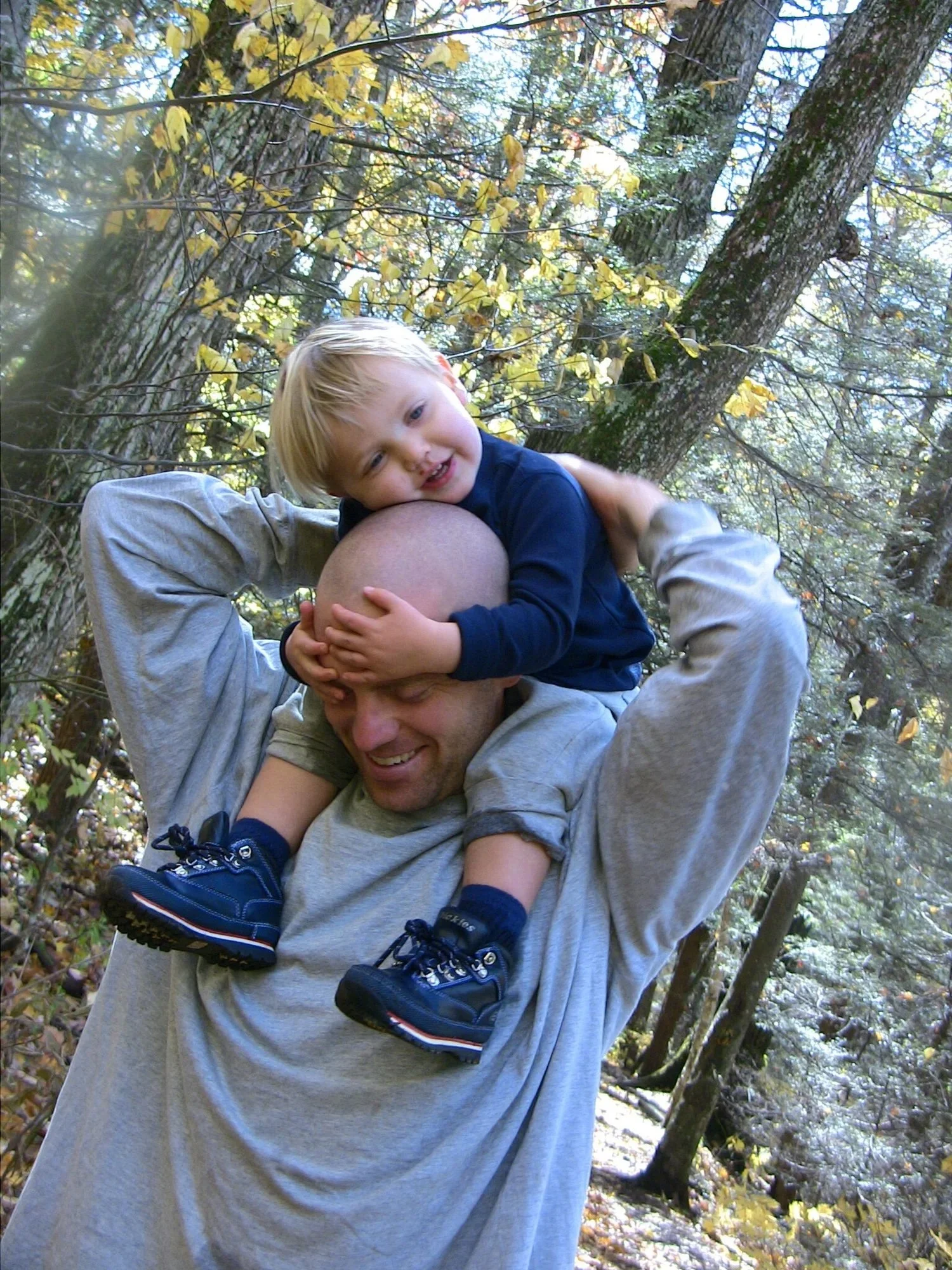 Will Harlan | Asheville, NC