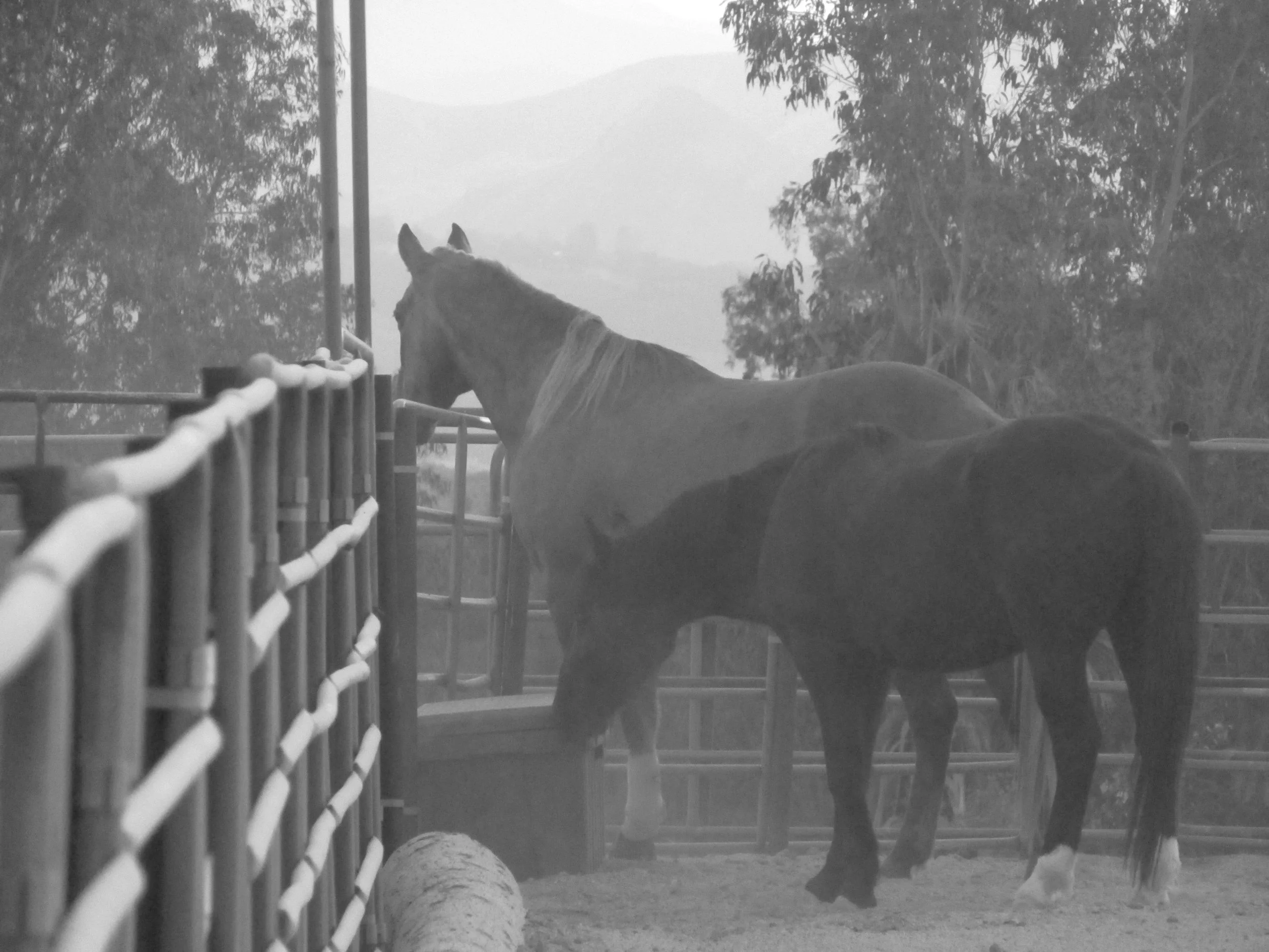 Marketing with Training Bundle