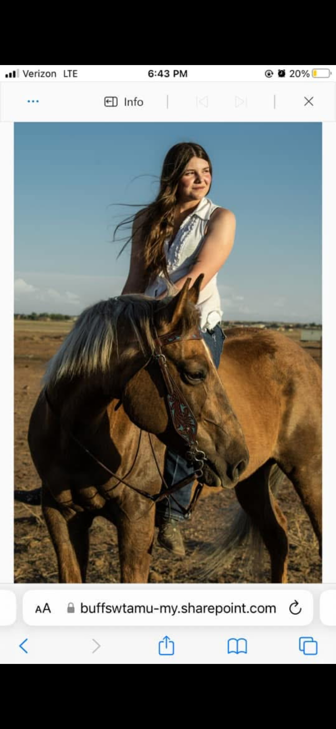 Individual Training Sessions