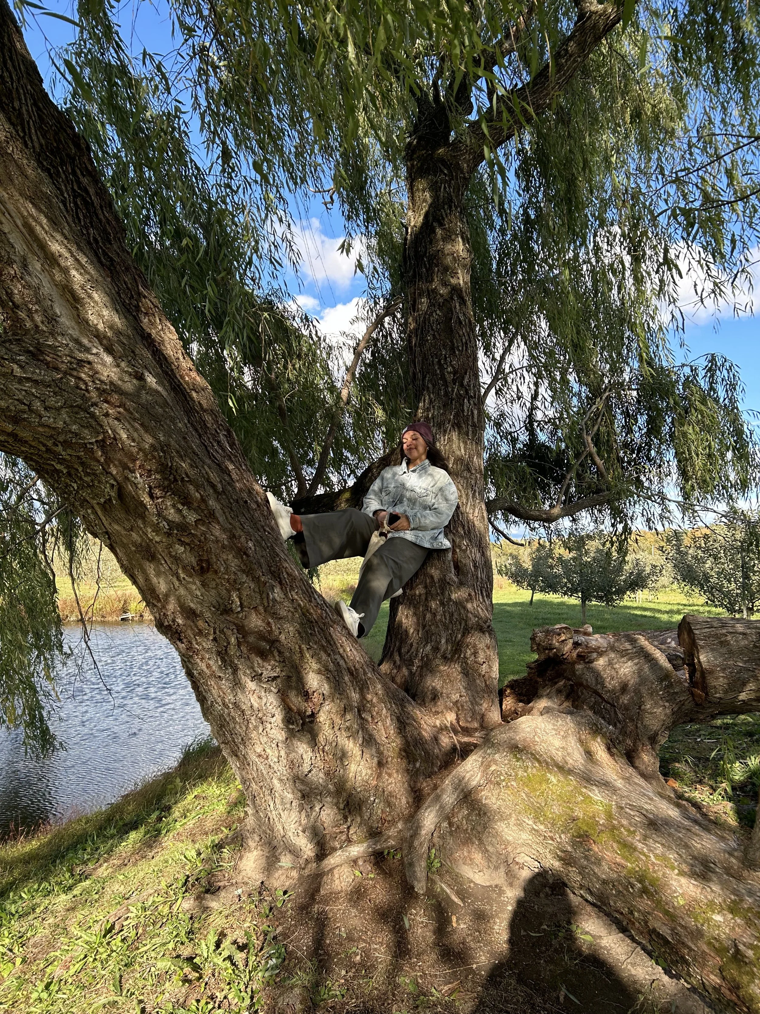 A woman sitting comfortably on a large tree branch near a river, with lush greenery and a bright blue sky with white clouds in the background.