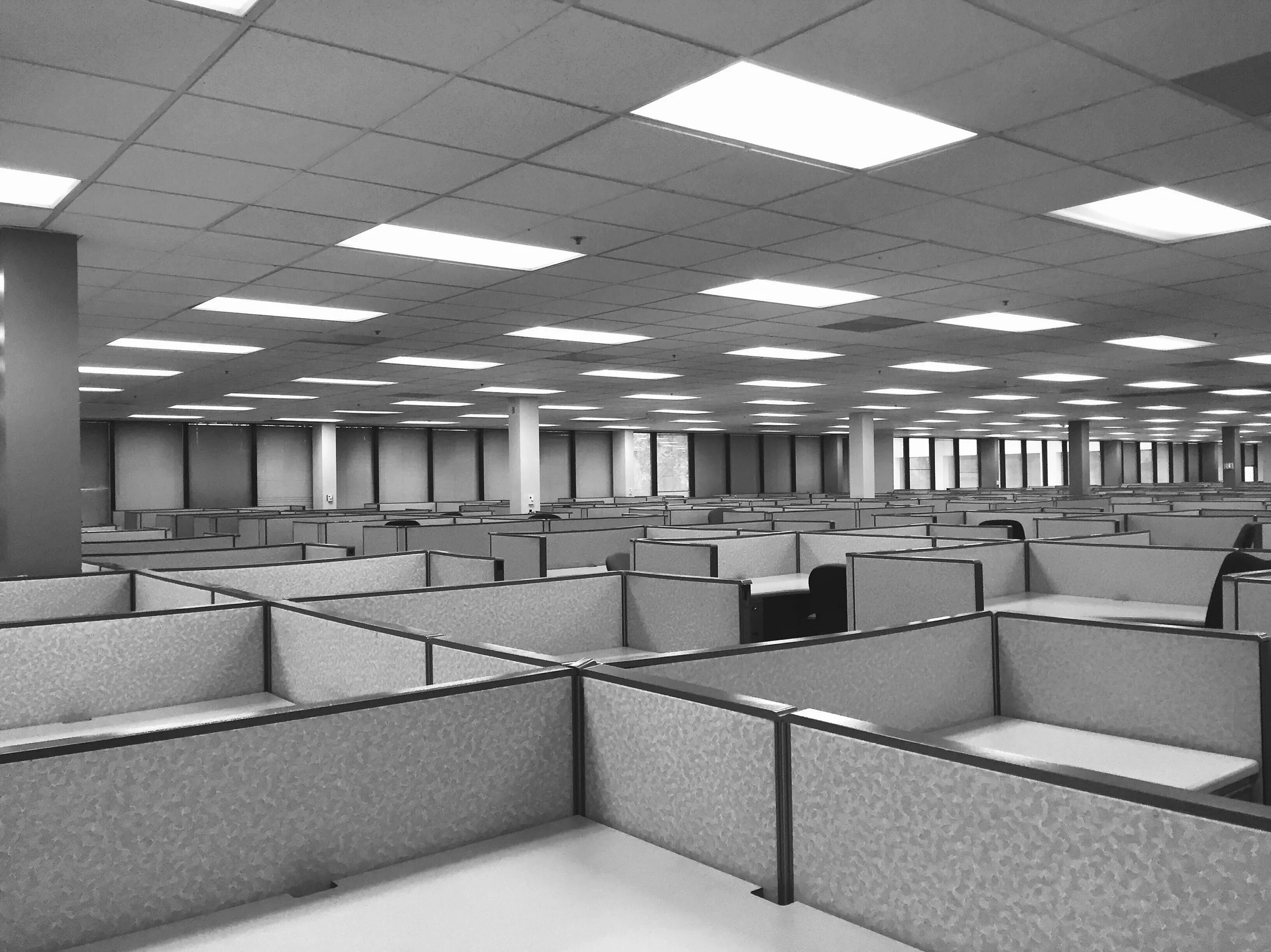 Empty office space with rows of cubicles, ceiling lights, and large windows along the back wall.