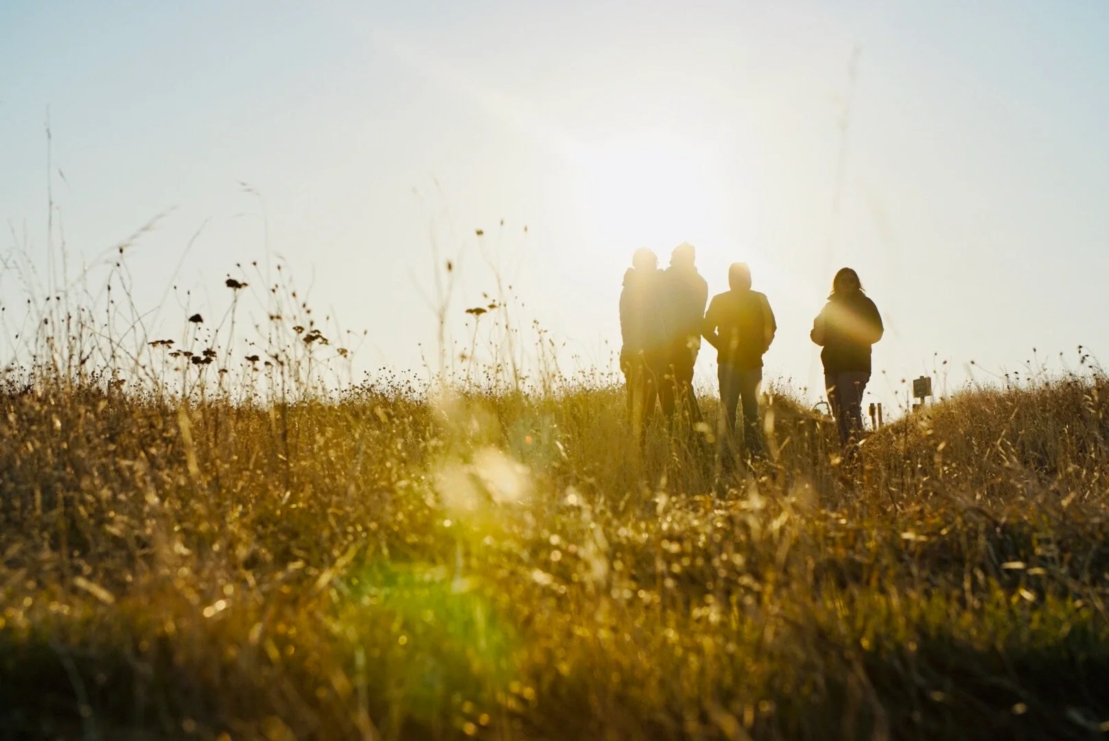 Four people walking and riding bikes through a grassy field at sunset.
