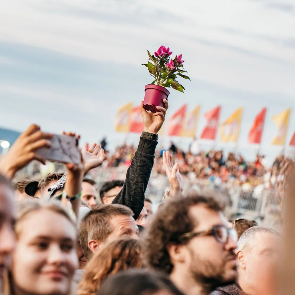 A crowd at an outdoor event or concert, with several people holding up their phones and one person holding a potted flowering plant with pink flowers.