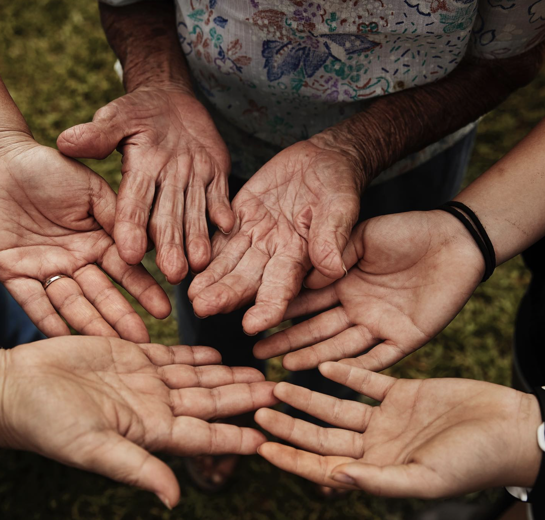 Multiple hands of different ages and skin tones forming a circle with palms open, symbolizing unity and community, on a grassy outdoor background.