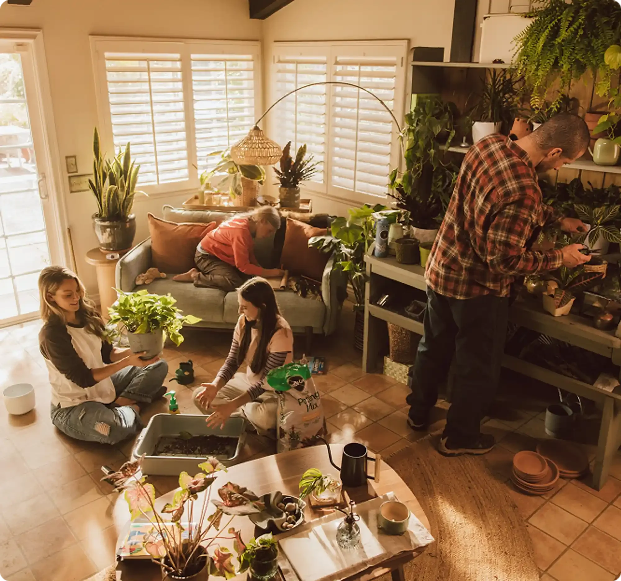 Living room with large window shutters, multiple plants including a tall potted plant on a side table and a variety of potted plants on a table in the foreground. People are gathered, with one person watering plants, another holding a potted plant, and others engaging in plant-related activities.