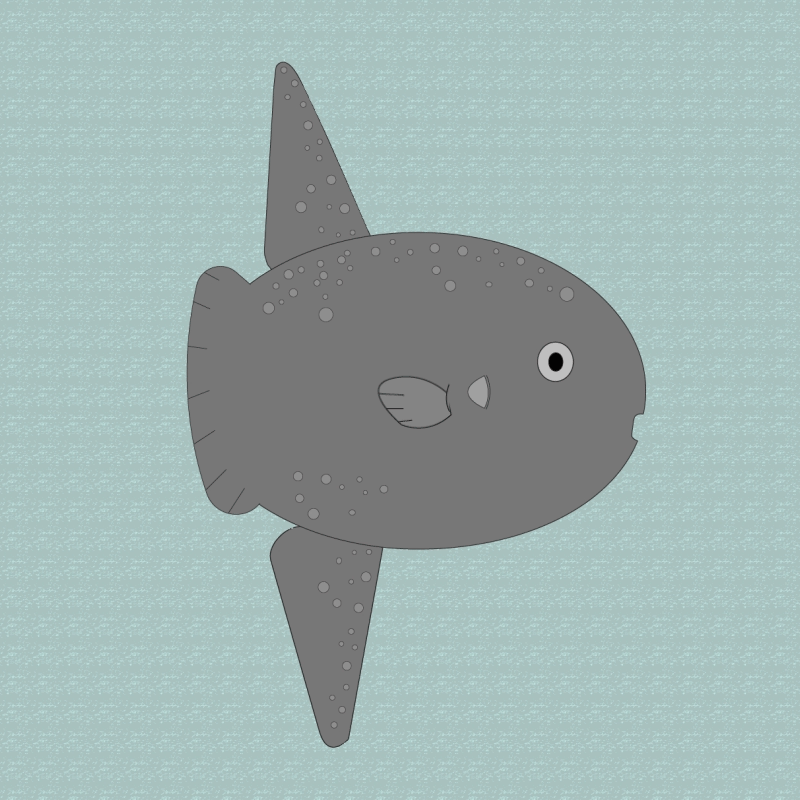 sunfish FINAL (2).gif