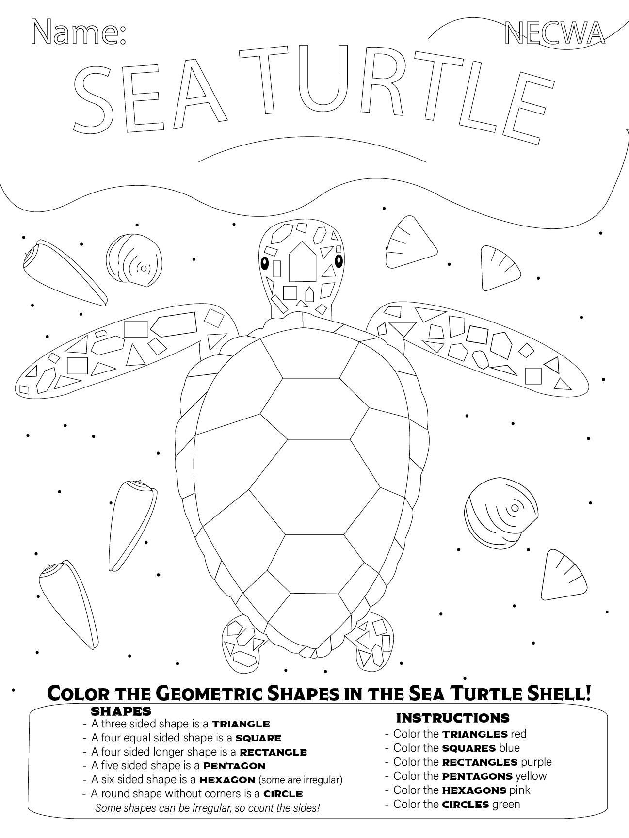 turtle coloring page.png