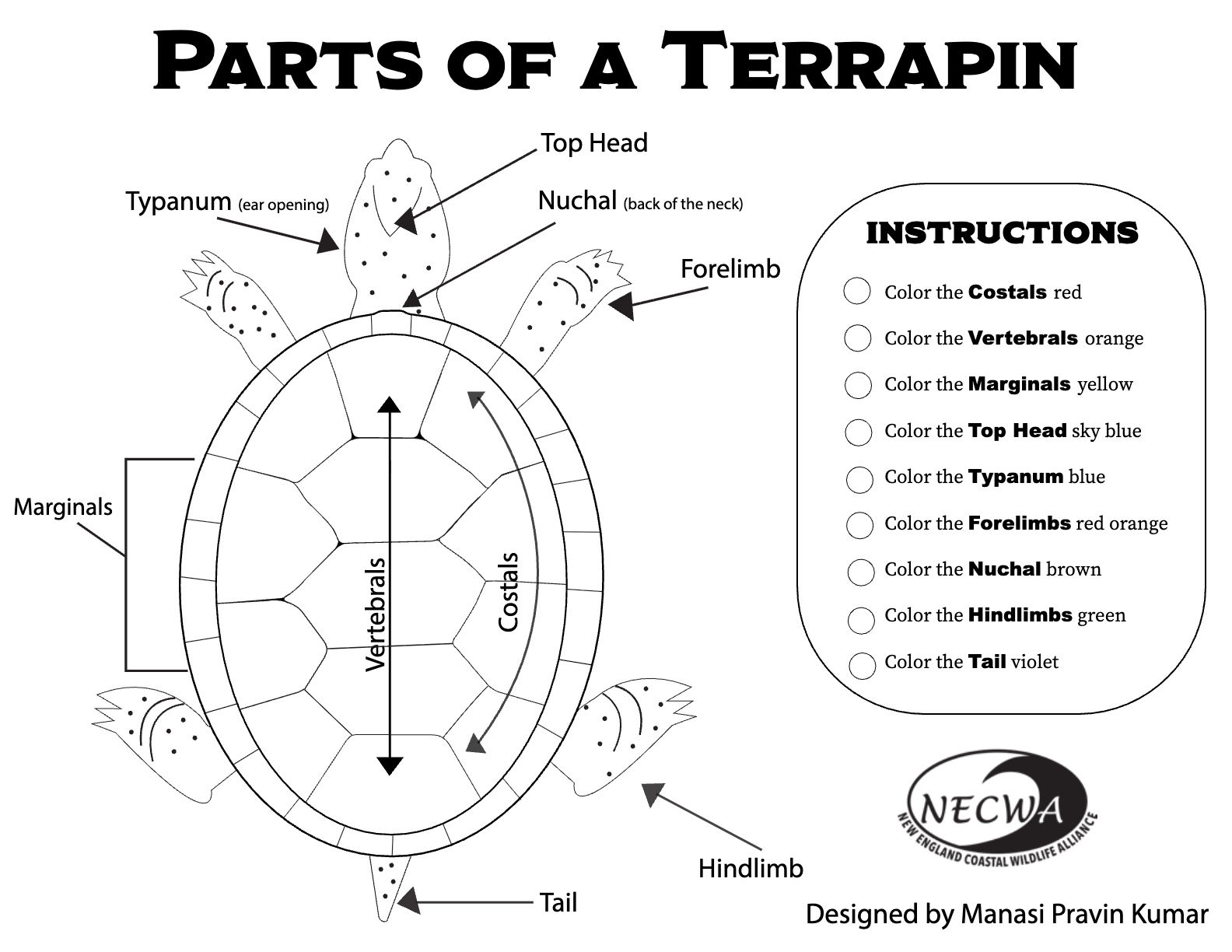 page-1 (2).png