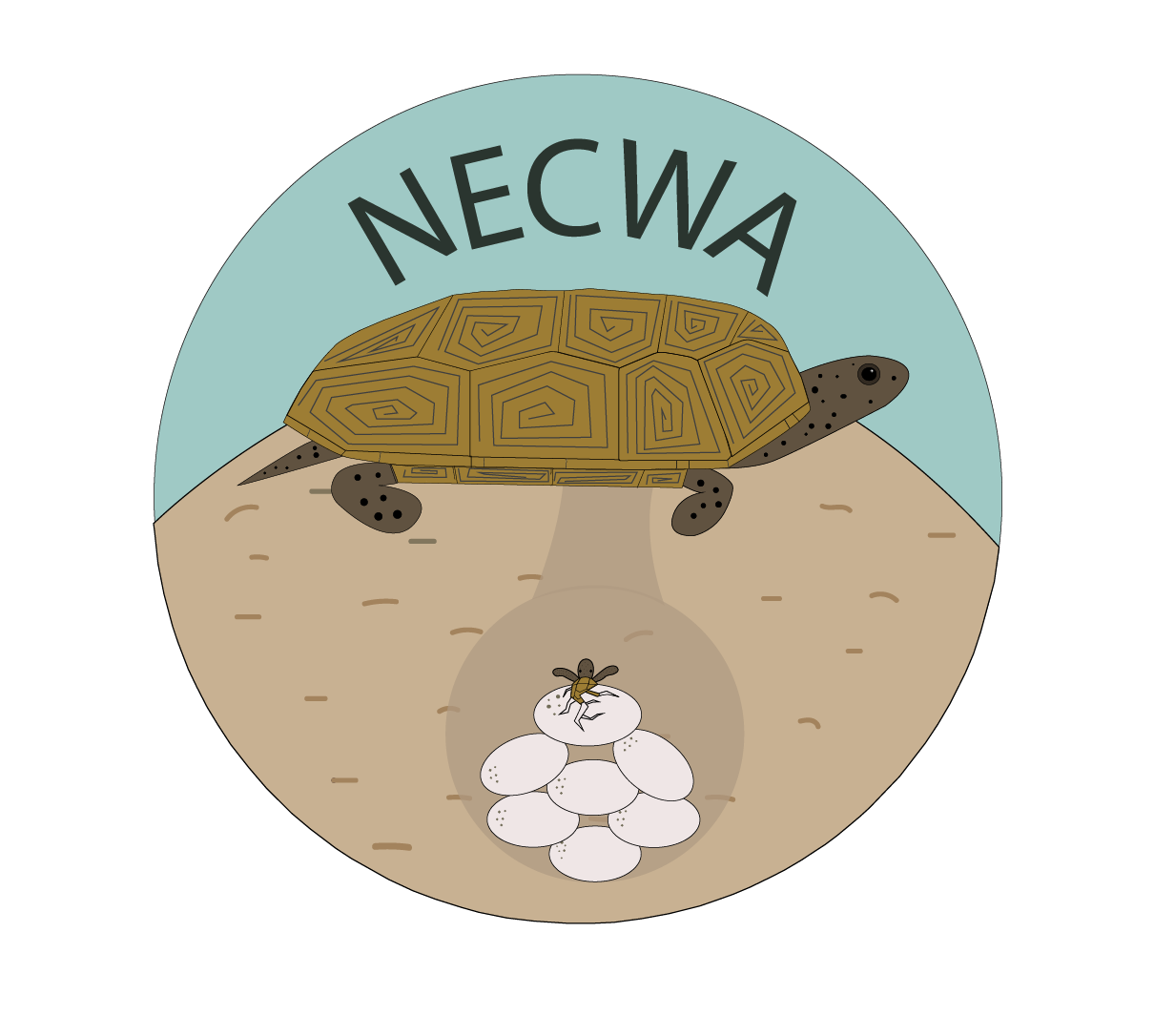 terrapin sticker (4) (2).png
