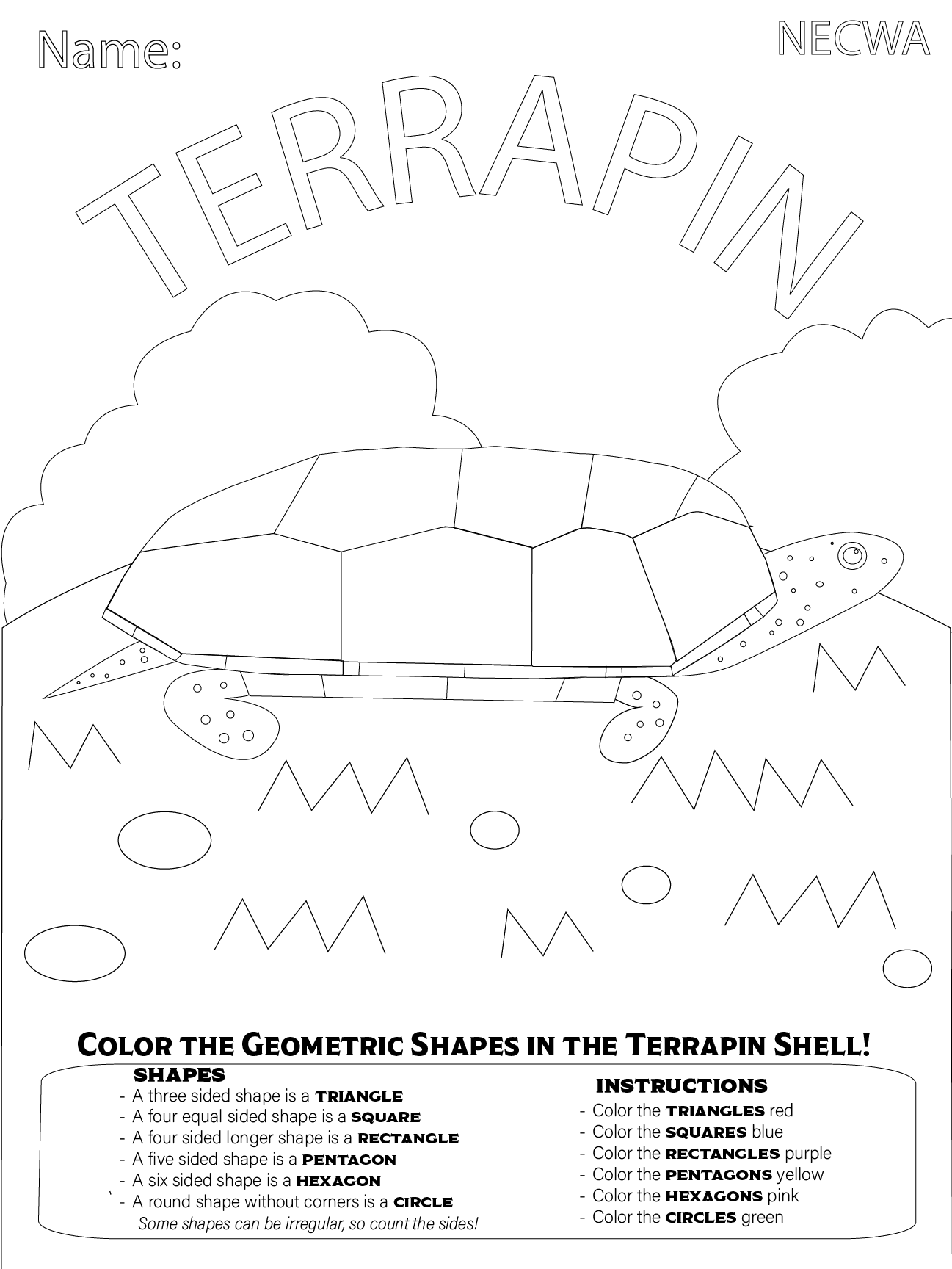 terrapin coloring pg.png