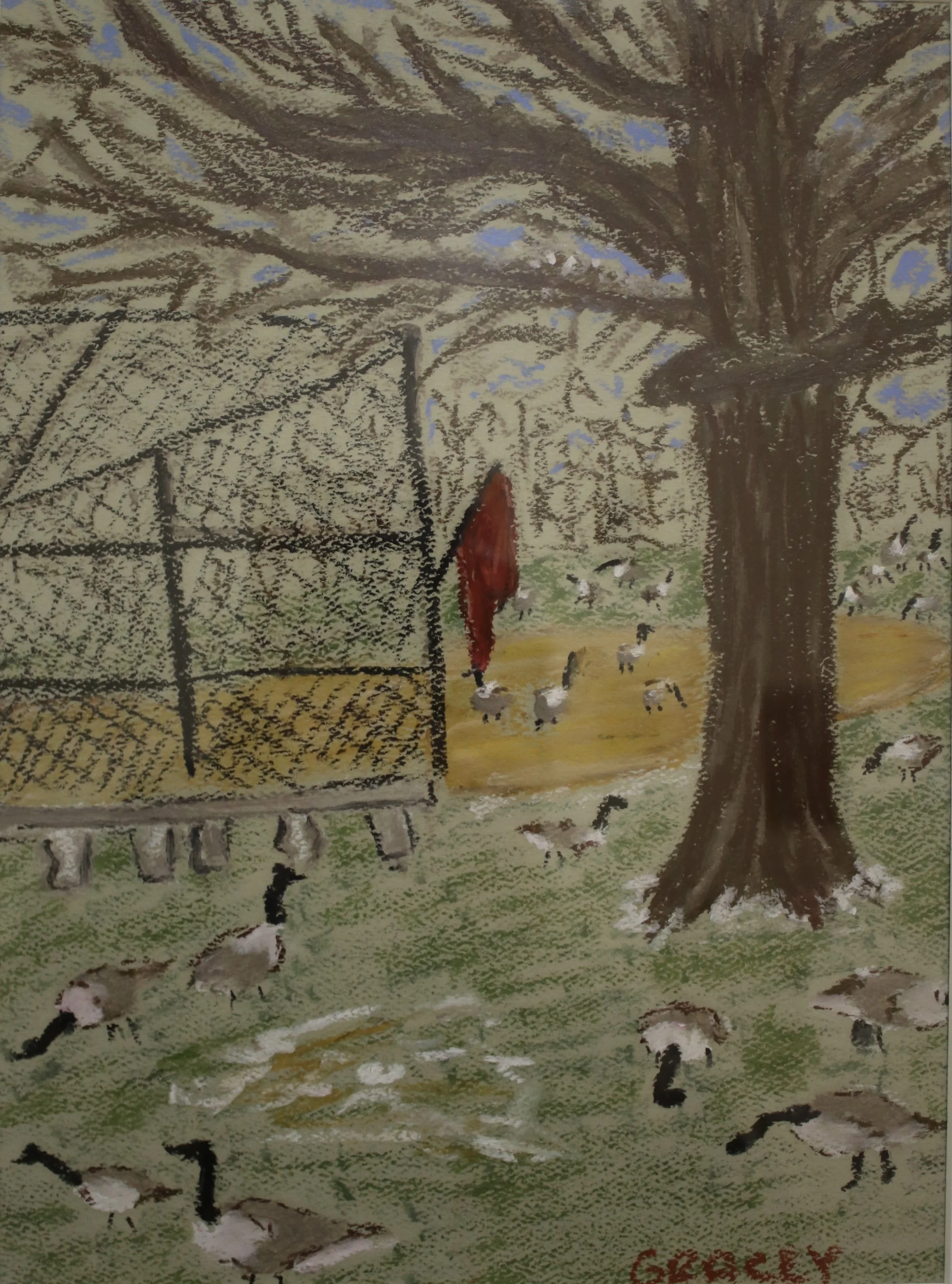 Geese on the Great Lawn, 2026