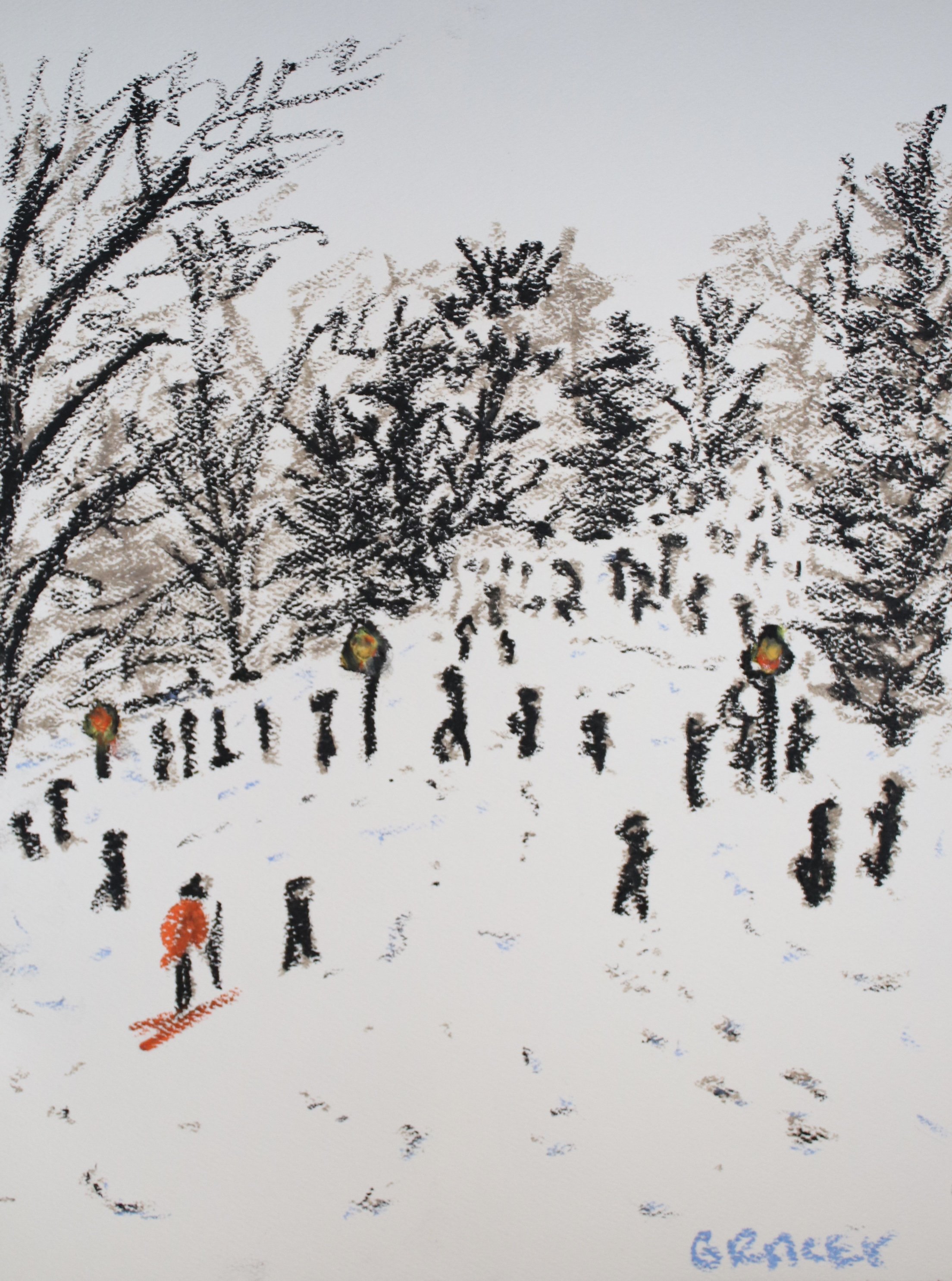 Snow Storm Jan, 2026