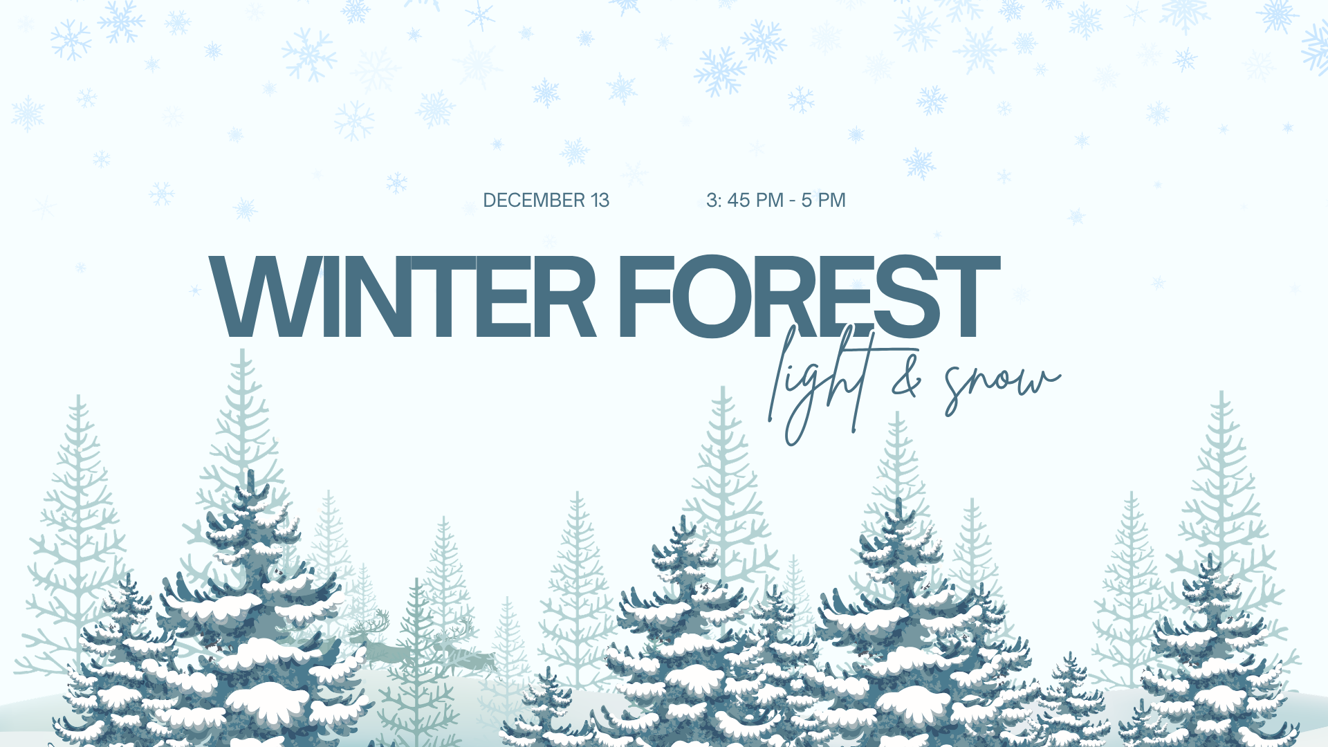 Winter Forest: Light &amp; Snow