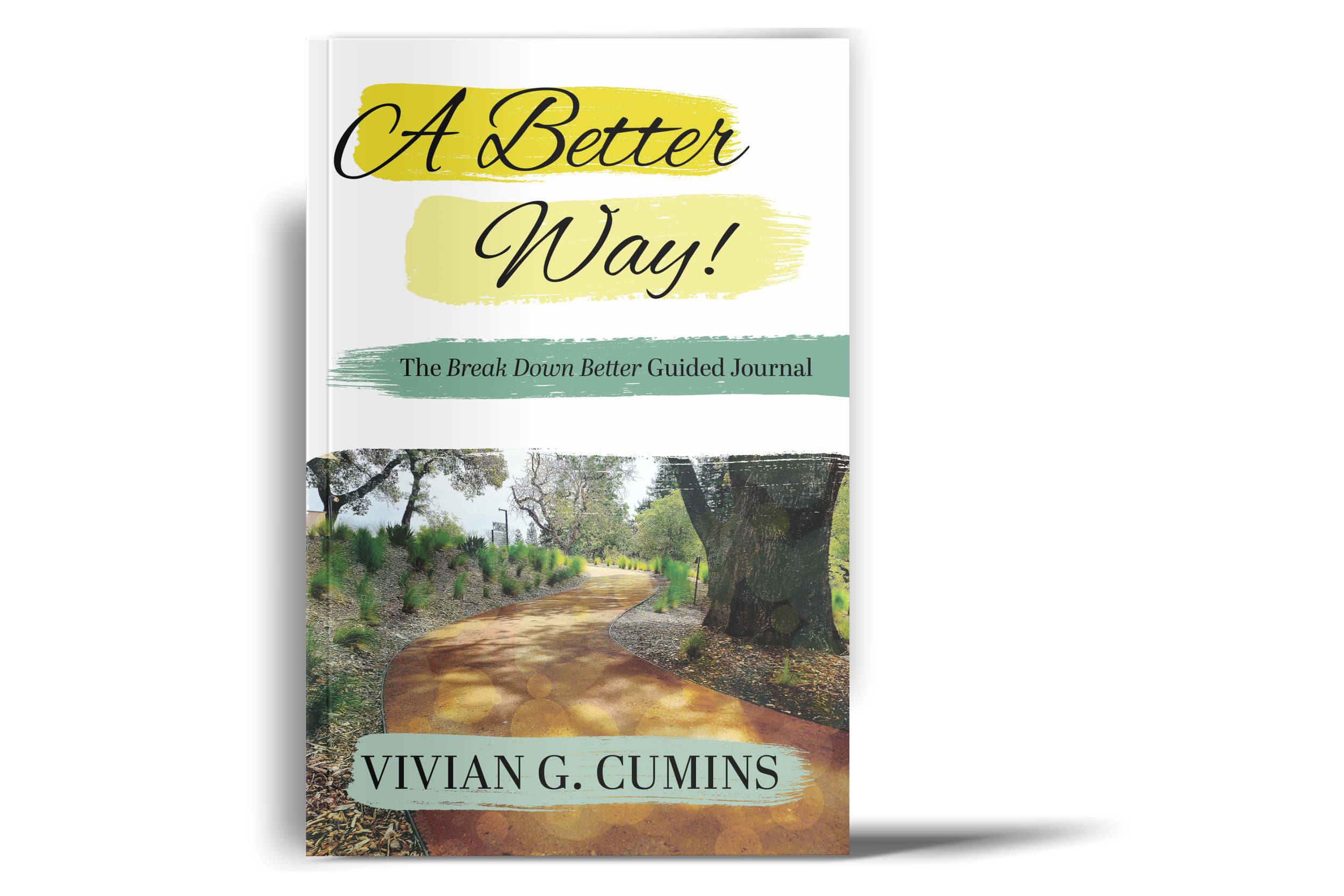 A better way book mockup