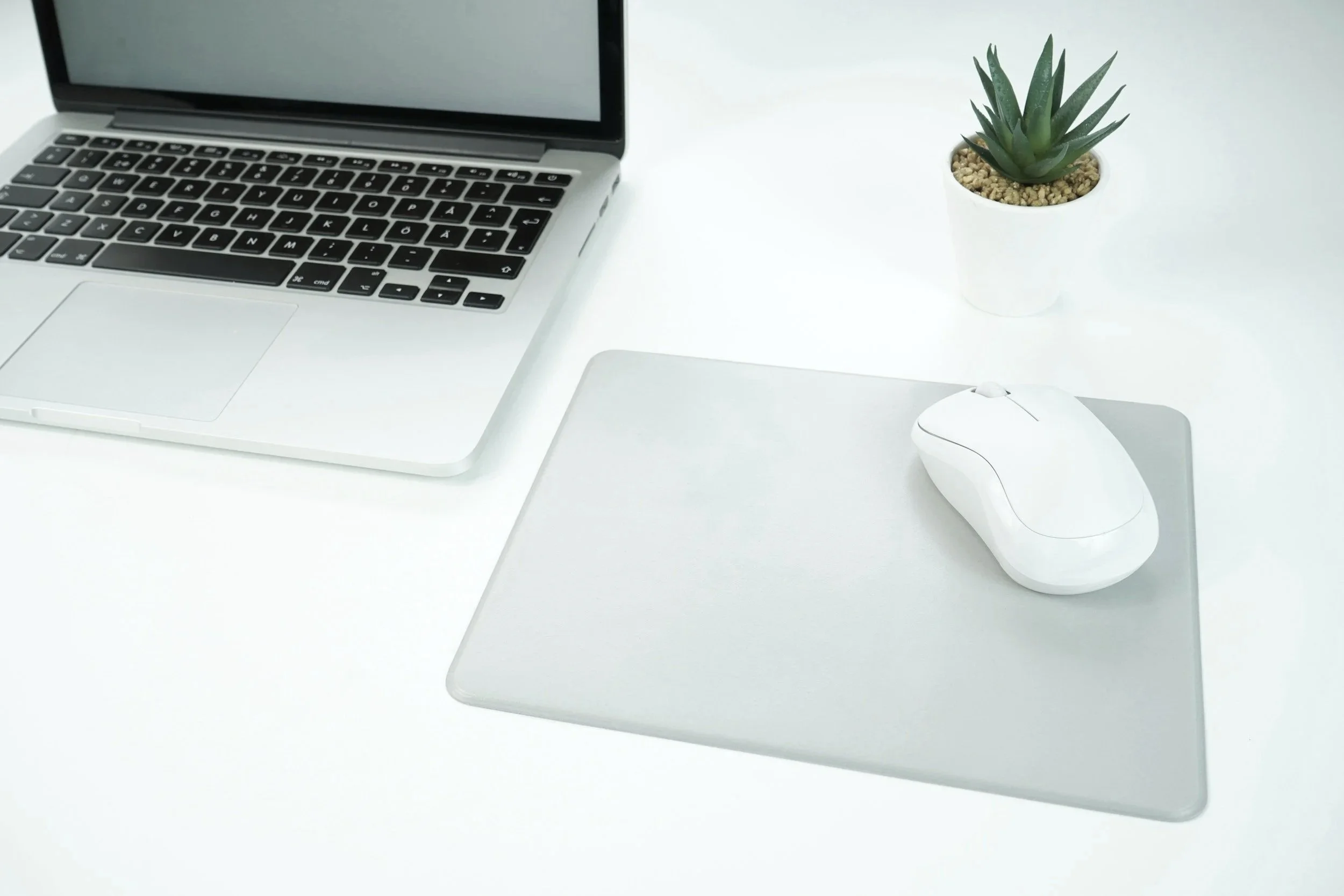 laptop, mouse, and succulent on desk