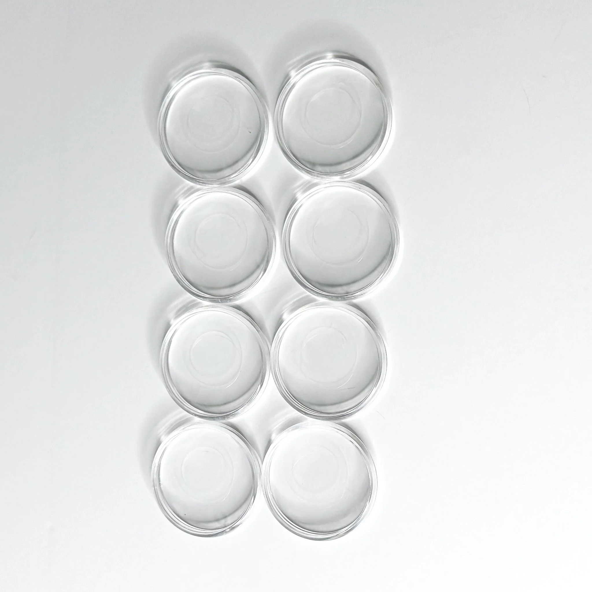 1.25" Planner Discbound Discs - Crystal Clear