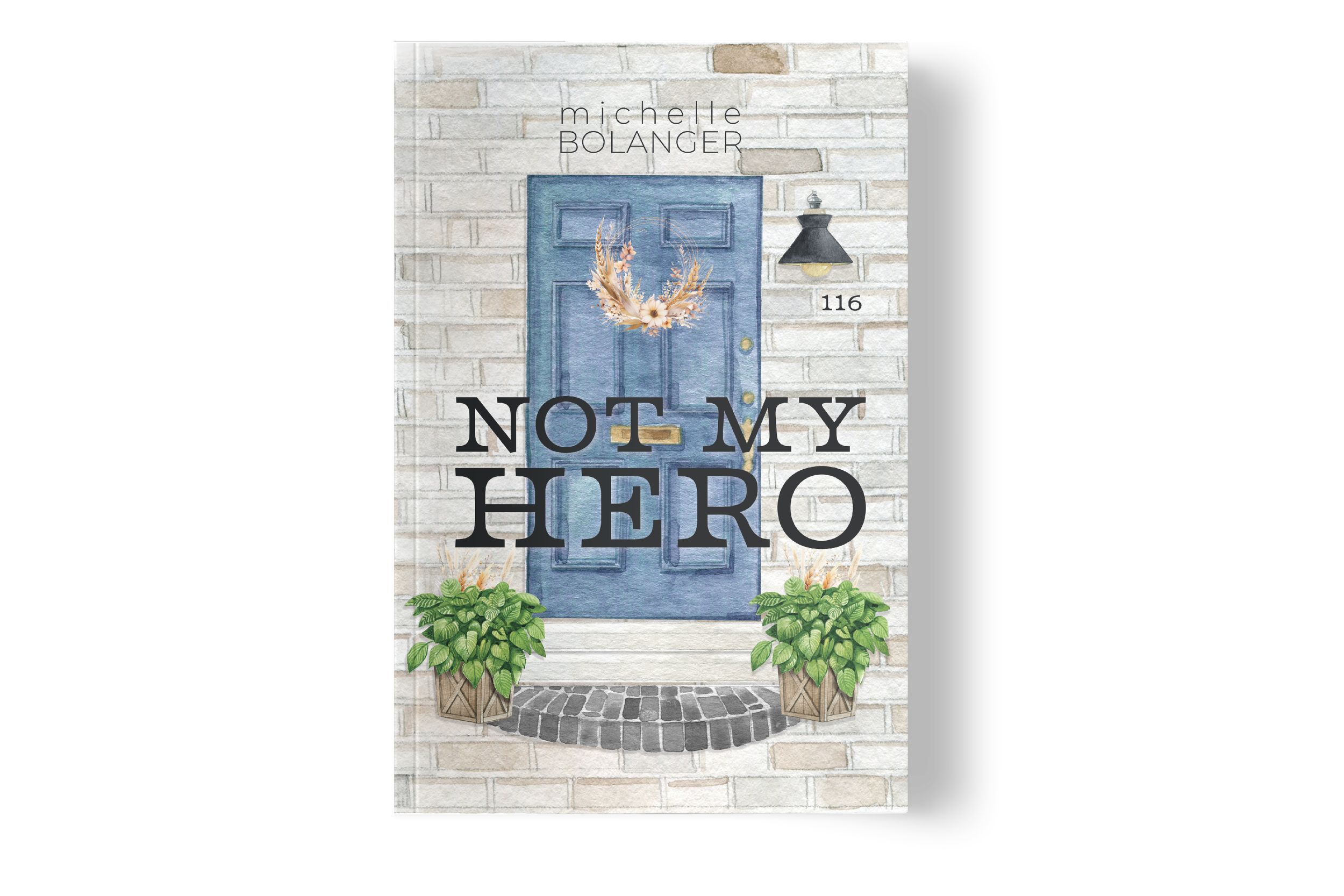 Not My Hero - Paperback.png