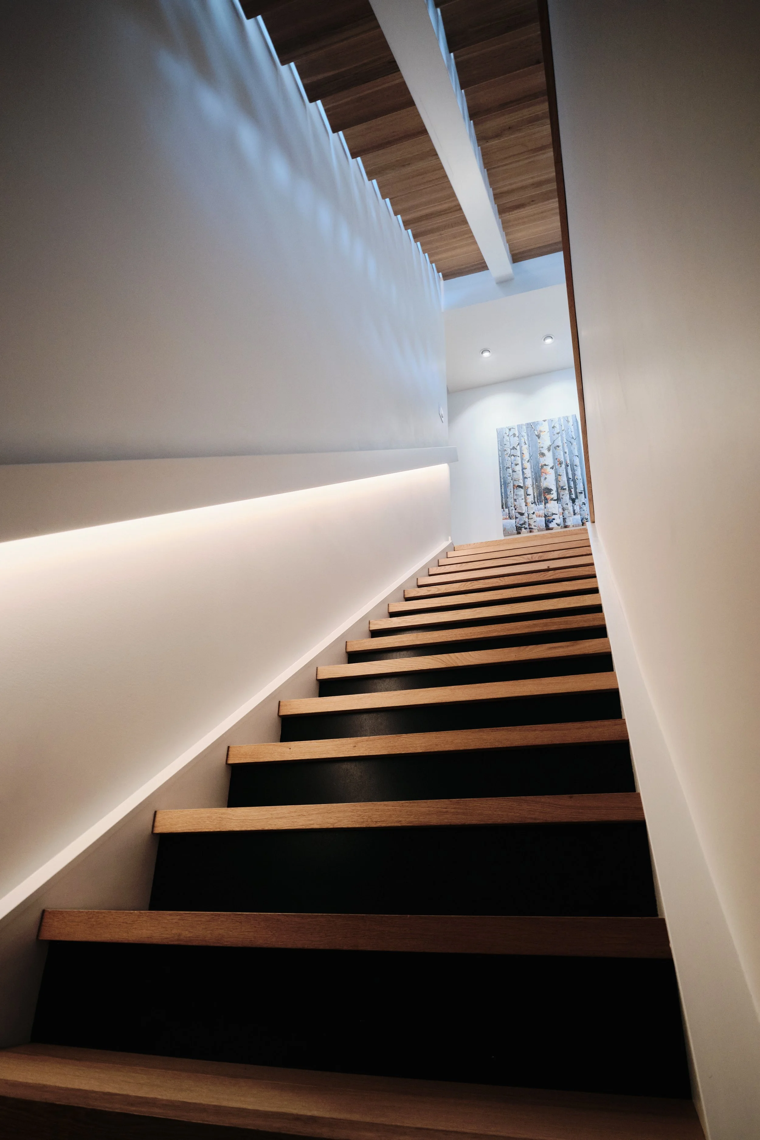 Contemporary staircase featuring black risers, recessed lighting, and decorative forest-themed artwork.