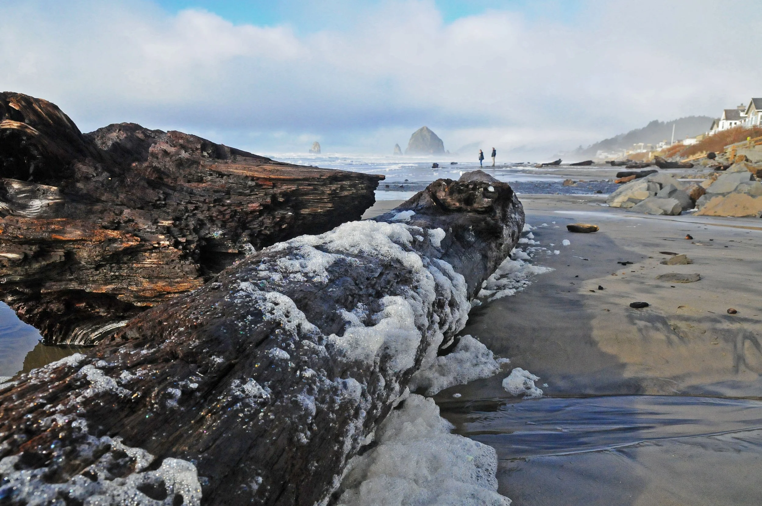 driftwood.foam.withpeople.jpg