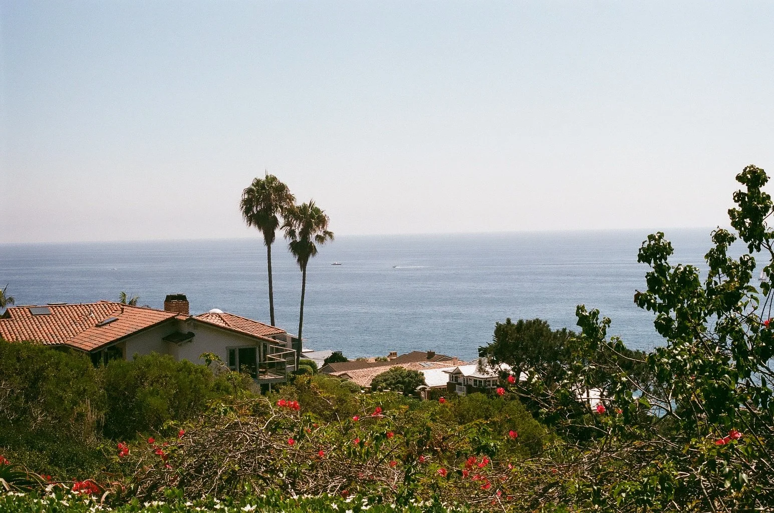 View of houses with red-tiled roofs, tall palm trees, lush green bushes with pink flowers, and the ocean in the background under a clear sky.