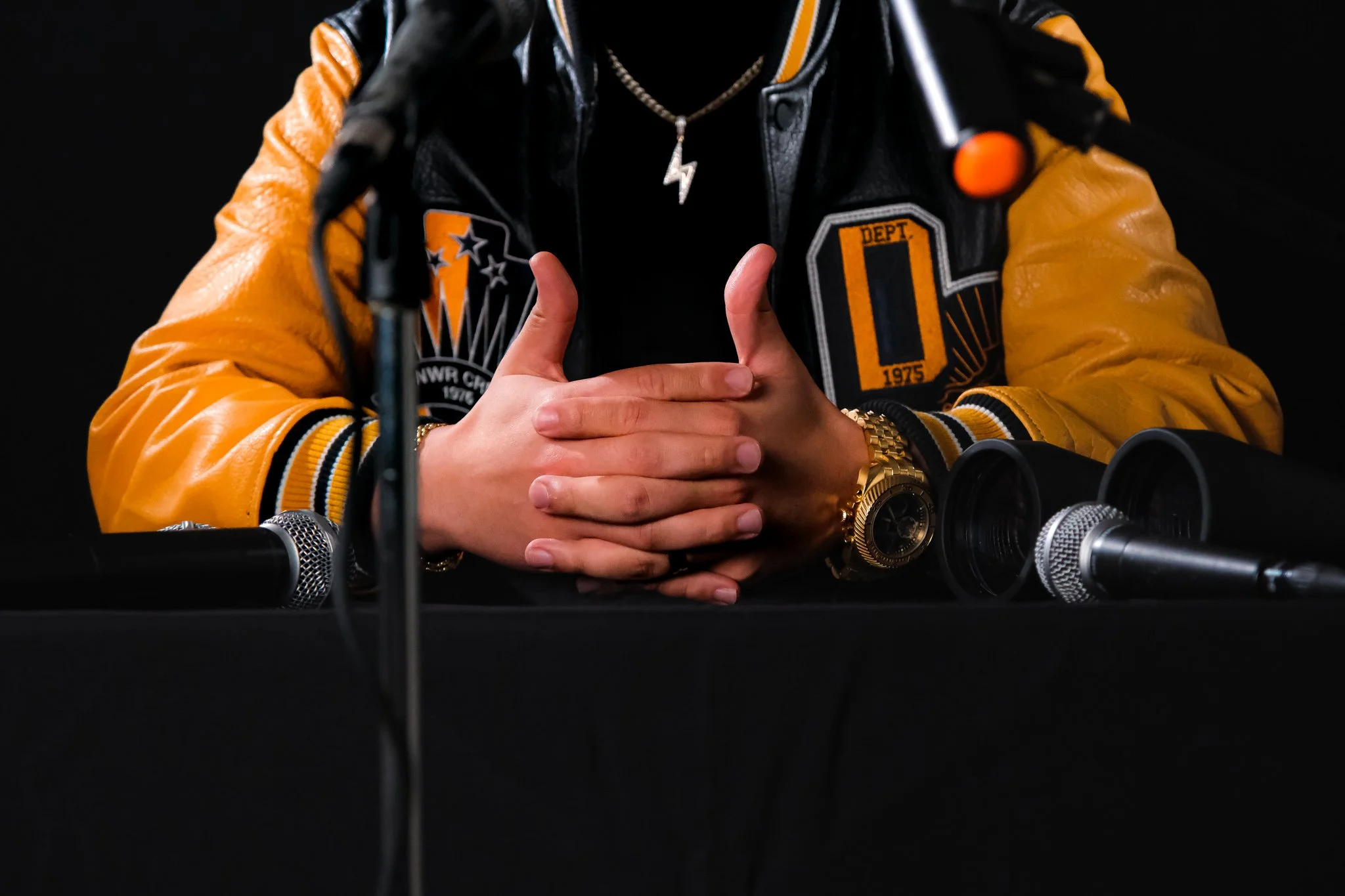 Pauneto - Album Teaser.jpg