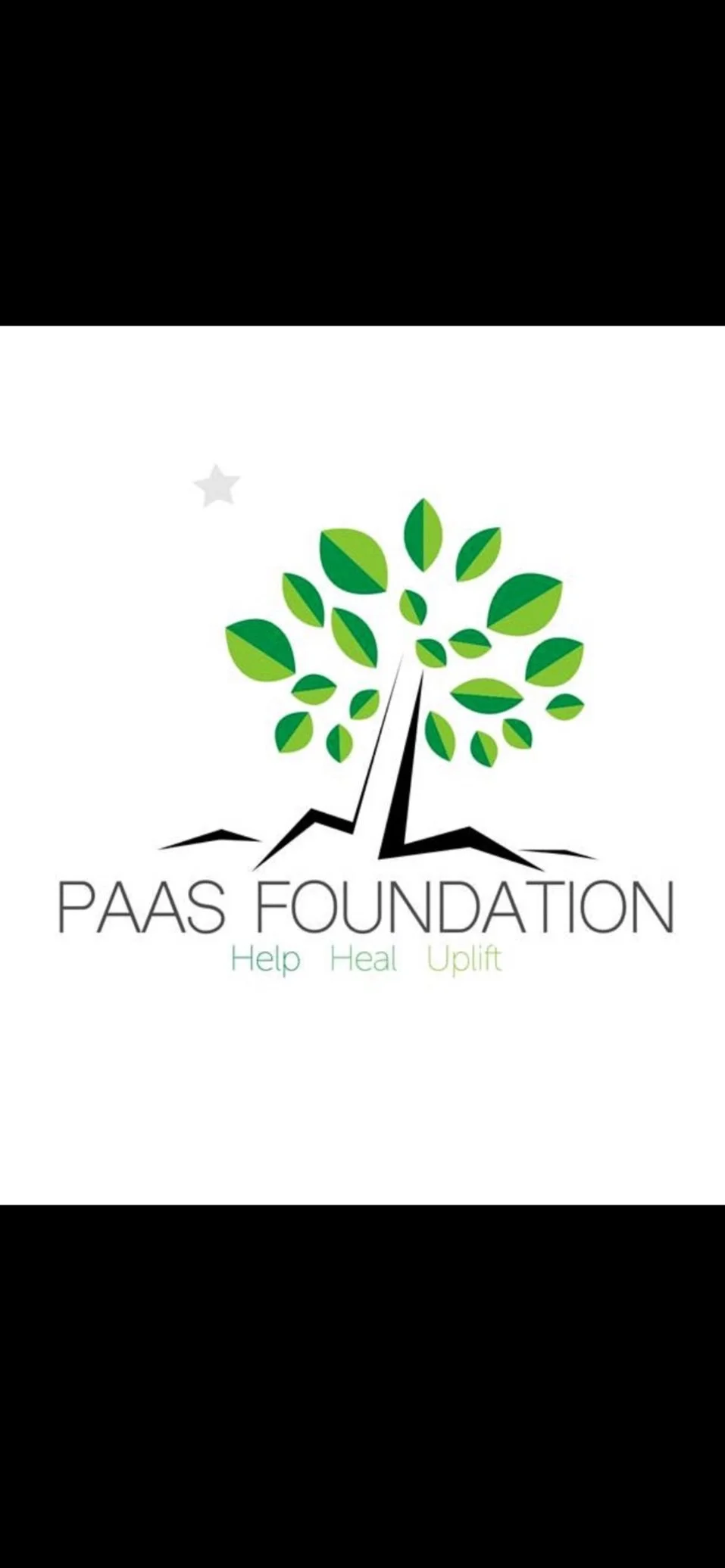 Logo of PAAS Foundation featuring a stylized tree with green leaves and black trunk, with the words "PAAS FOUNDATION" and the tagline "Help Heal Uplift" in pastel colors.