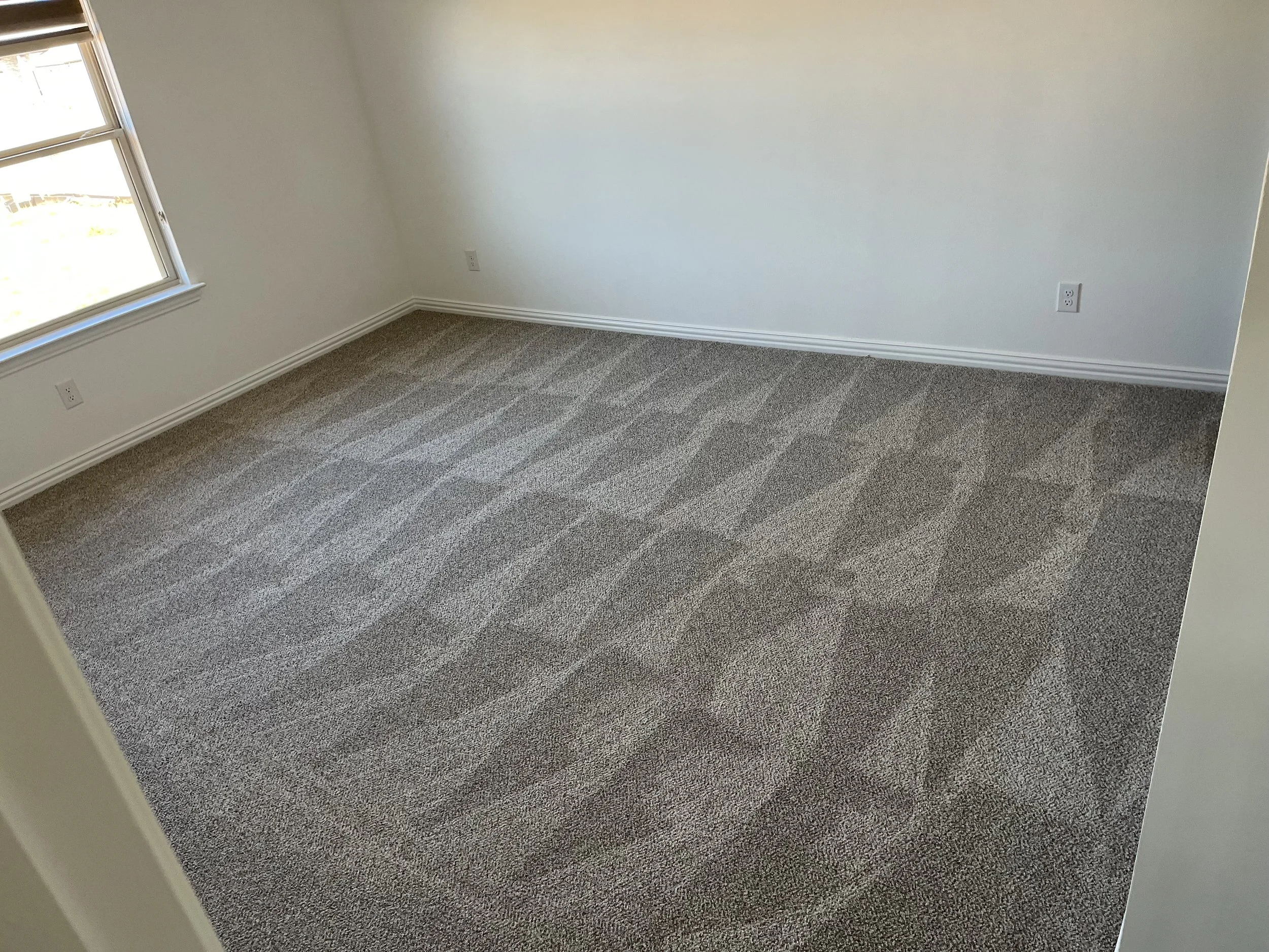 Clean Carpet.jpeg