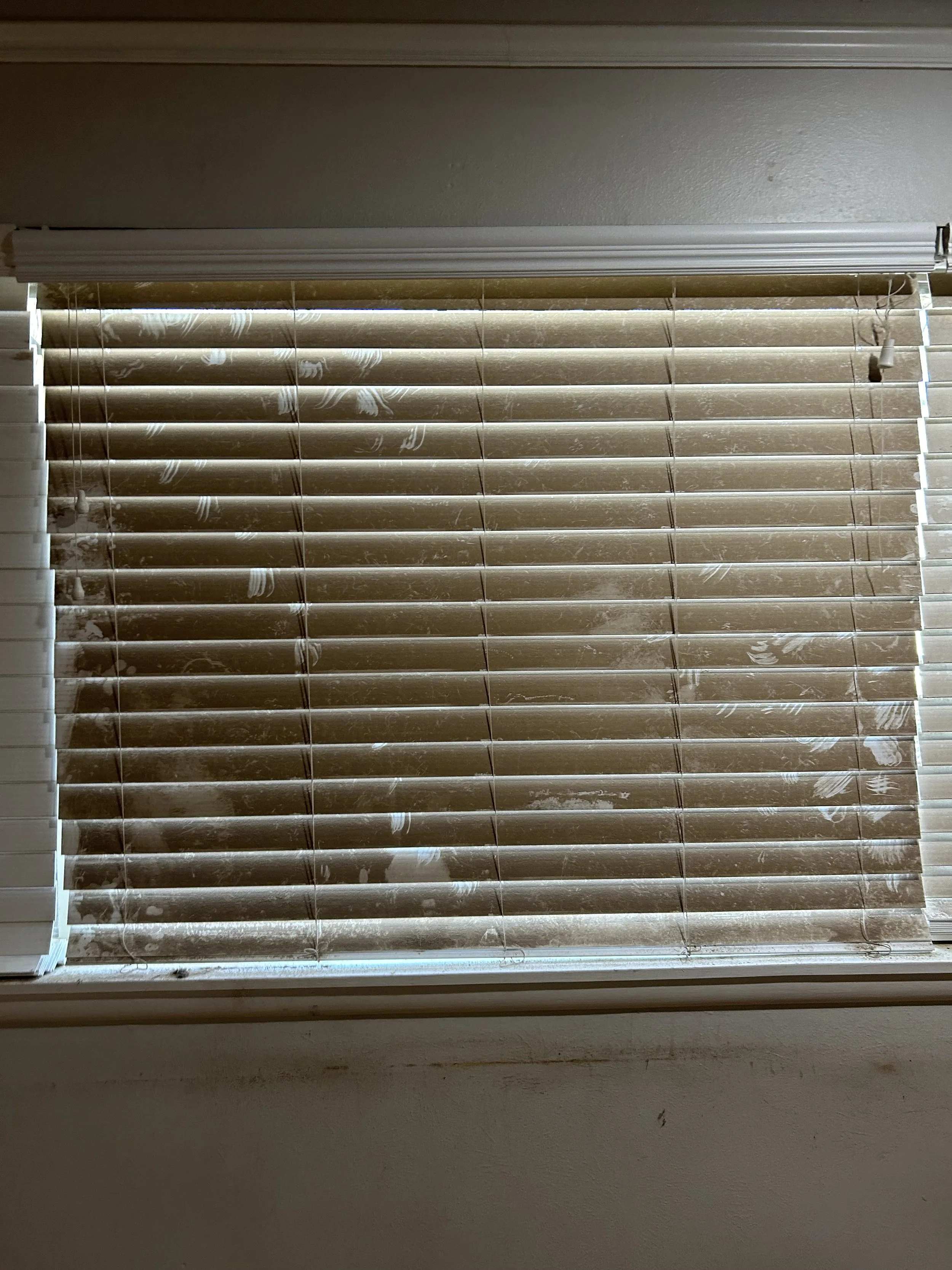 Dirty Blinds.jpeg