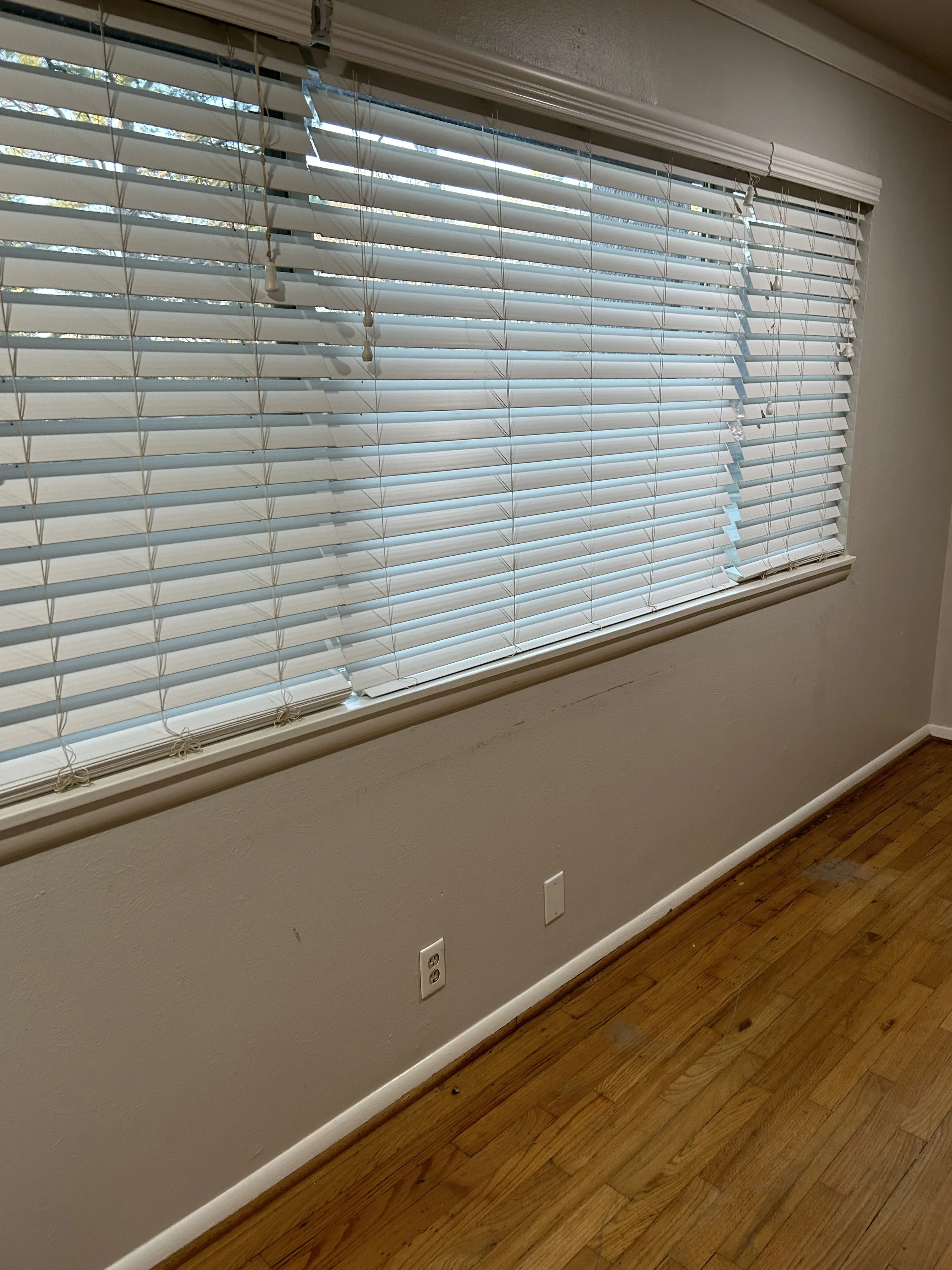 Clean Blinds.jpeg