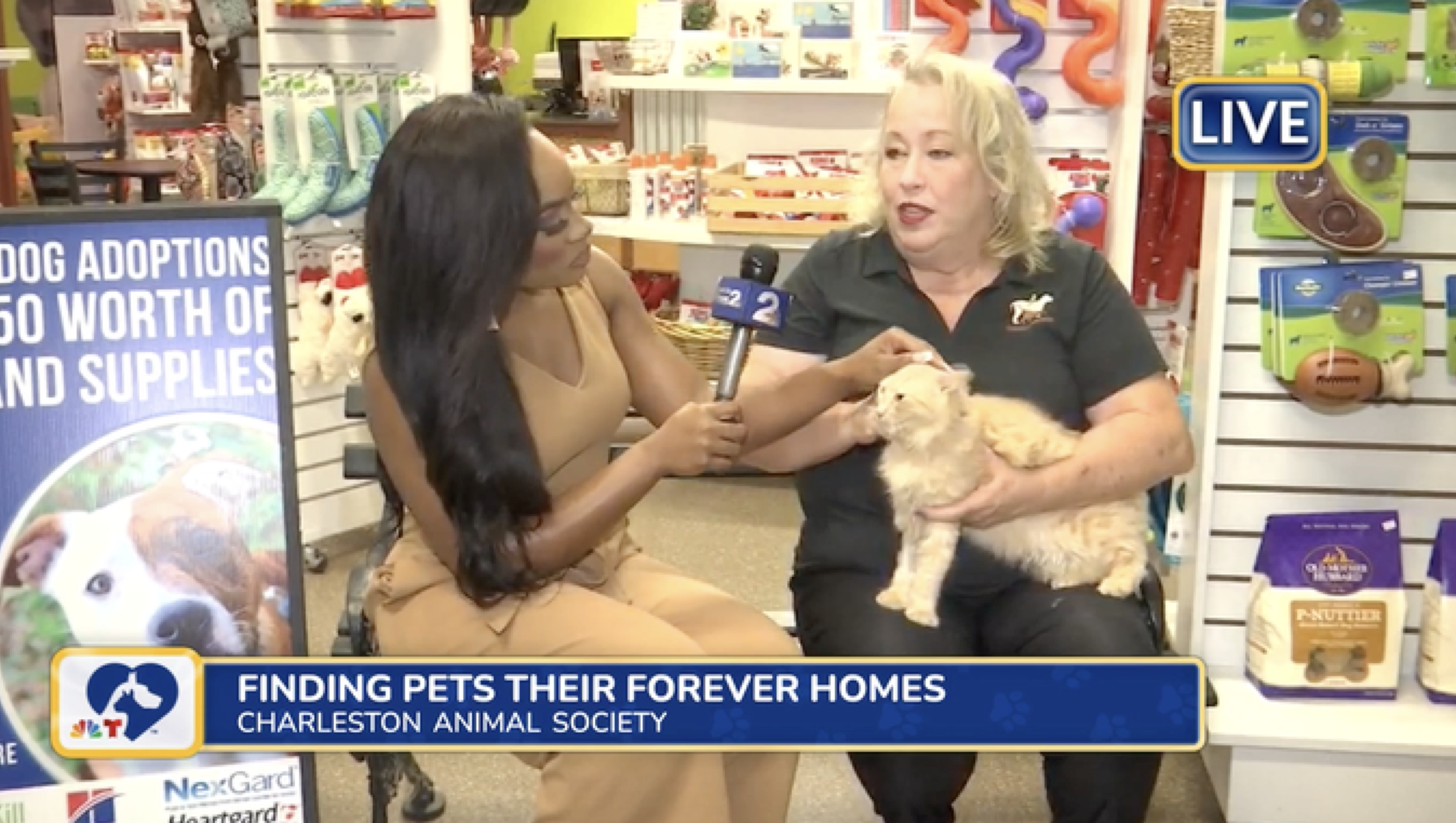 Screenshot 2026-01-27 at 3.33.03 PM.png