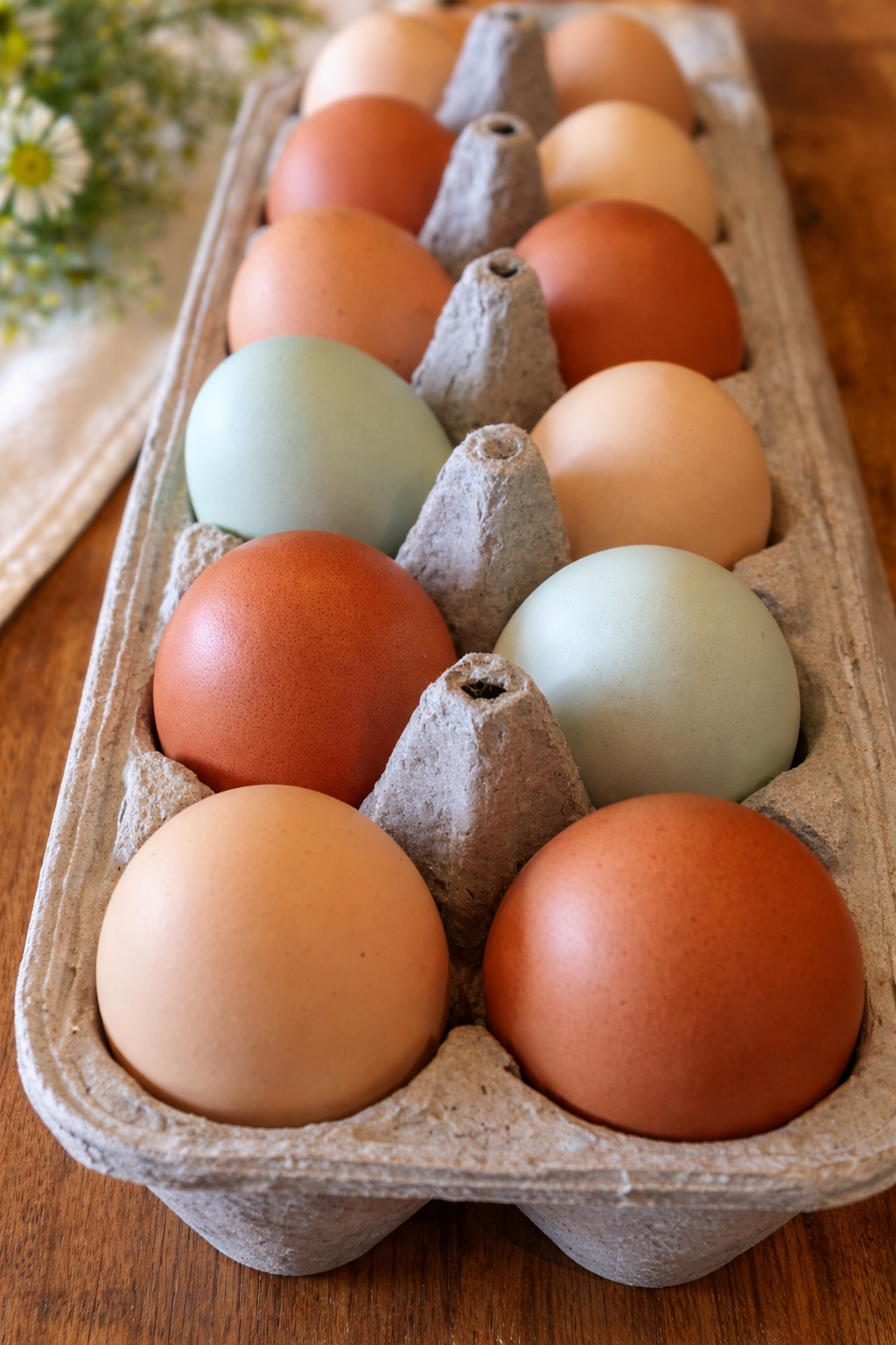 Farm Fresh Eggs