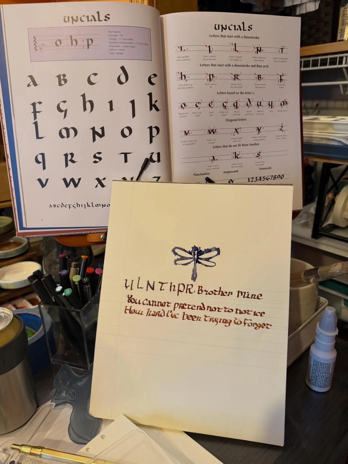 I started trying to mimic the script in the book and then realized I had memorized my own script I can write from memory