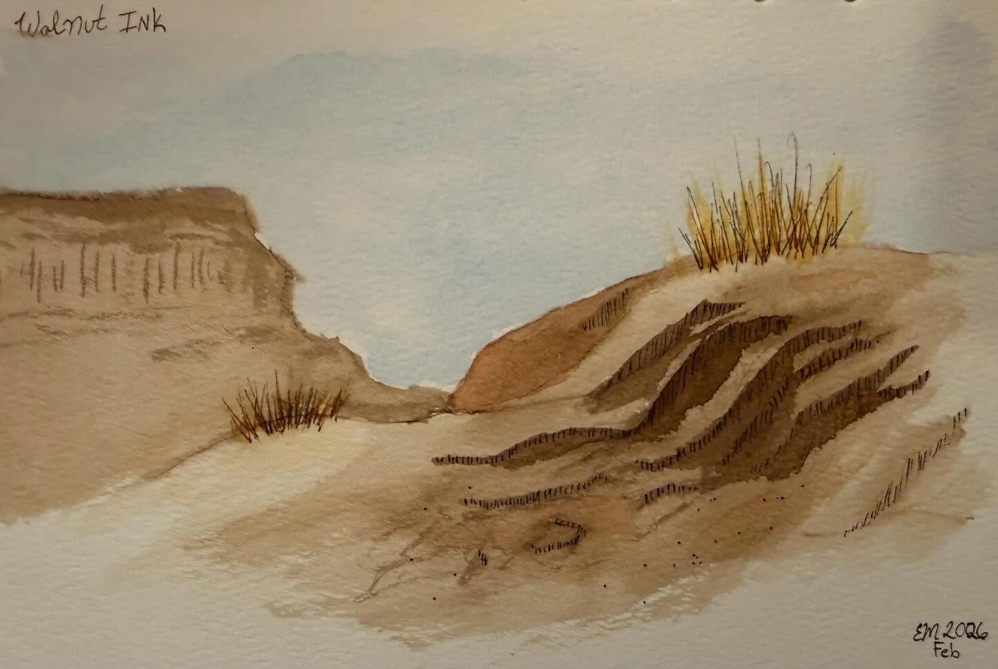 First time playing with walnut ink