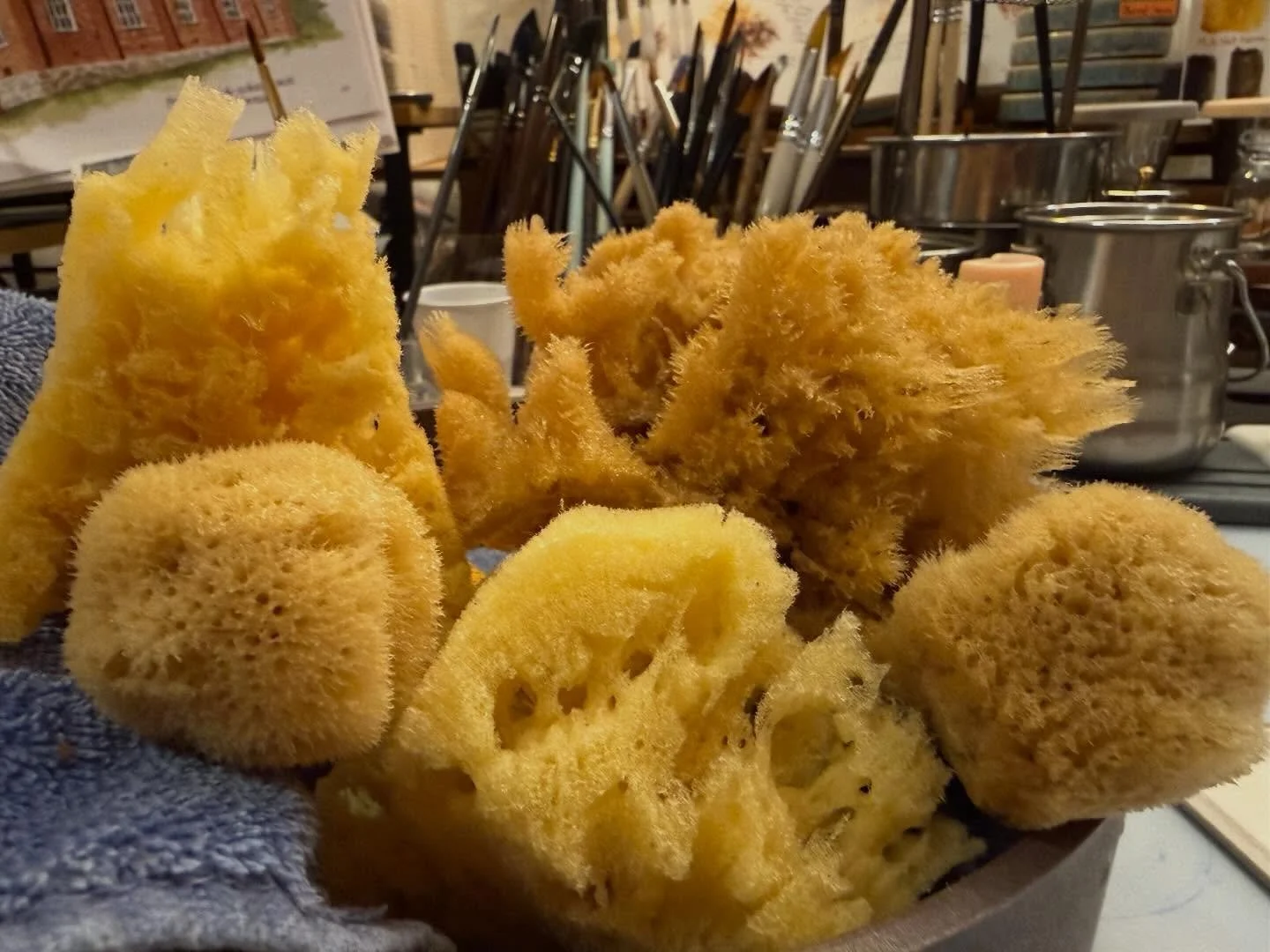 I got some natural sea sponges for my art stuffs&hellip;and when I washed them, a strong salty scent of the ocean emanated&hellip;now I need to stop myself from buying a microscope because I cannot afford any more hobbies time-wise.