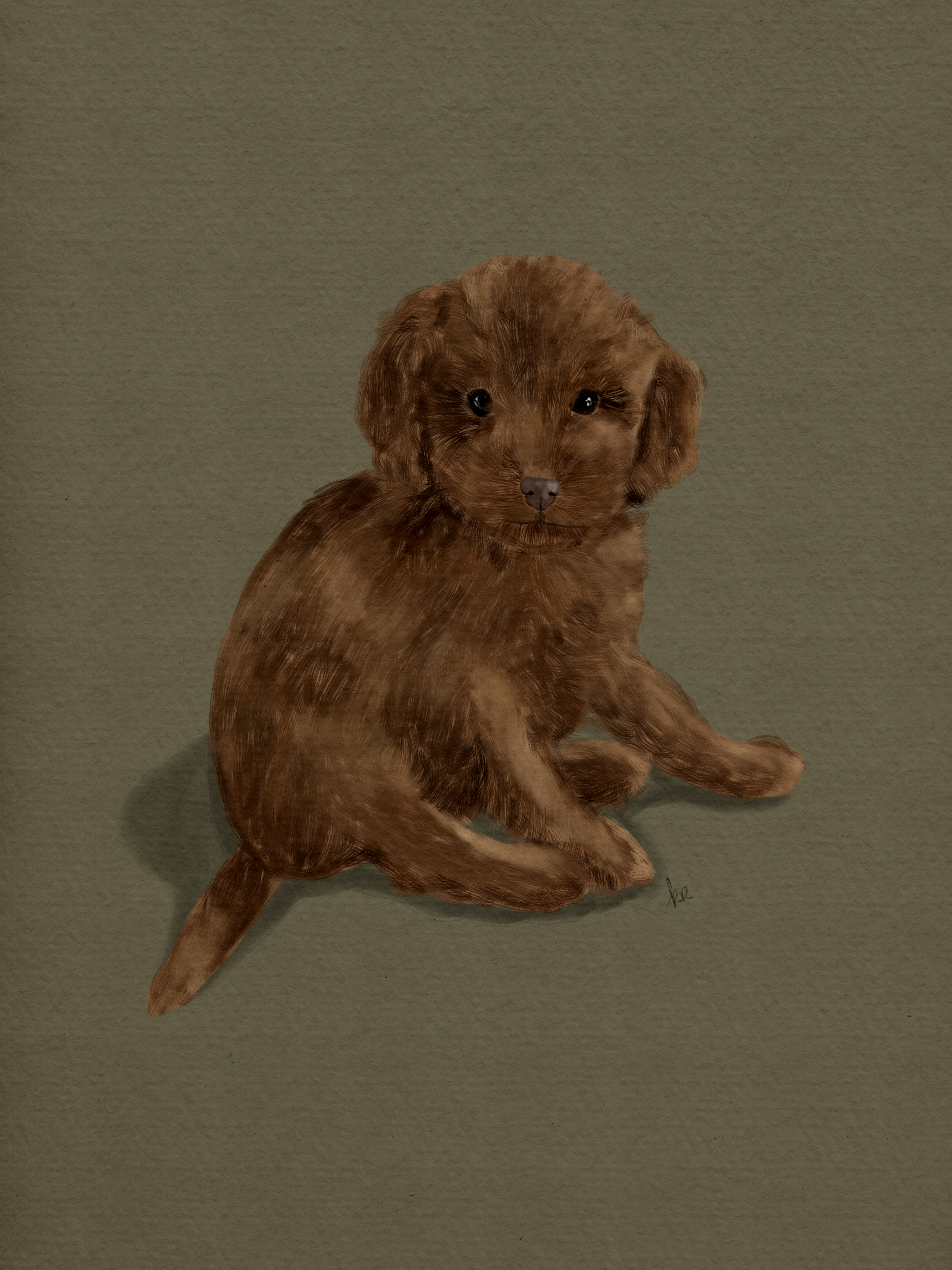 Untitled_Artwork 41.png