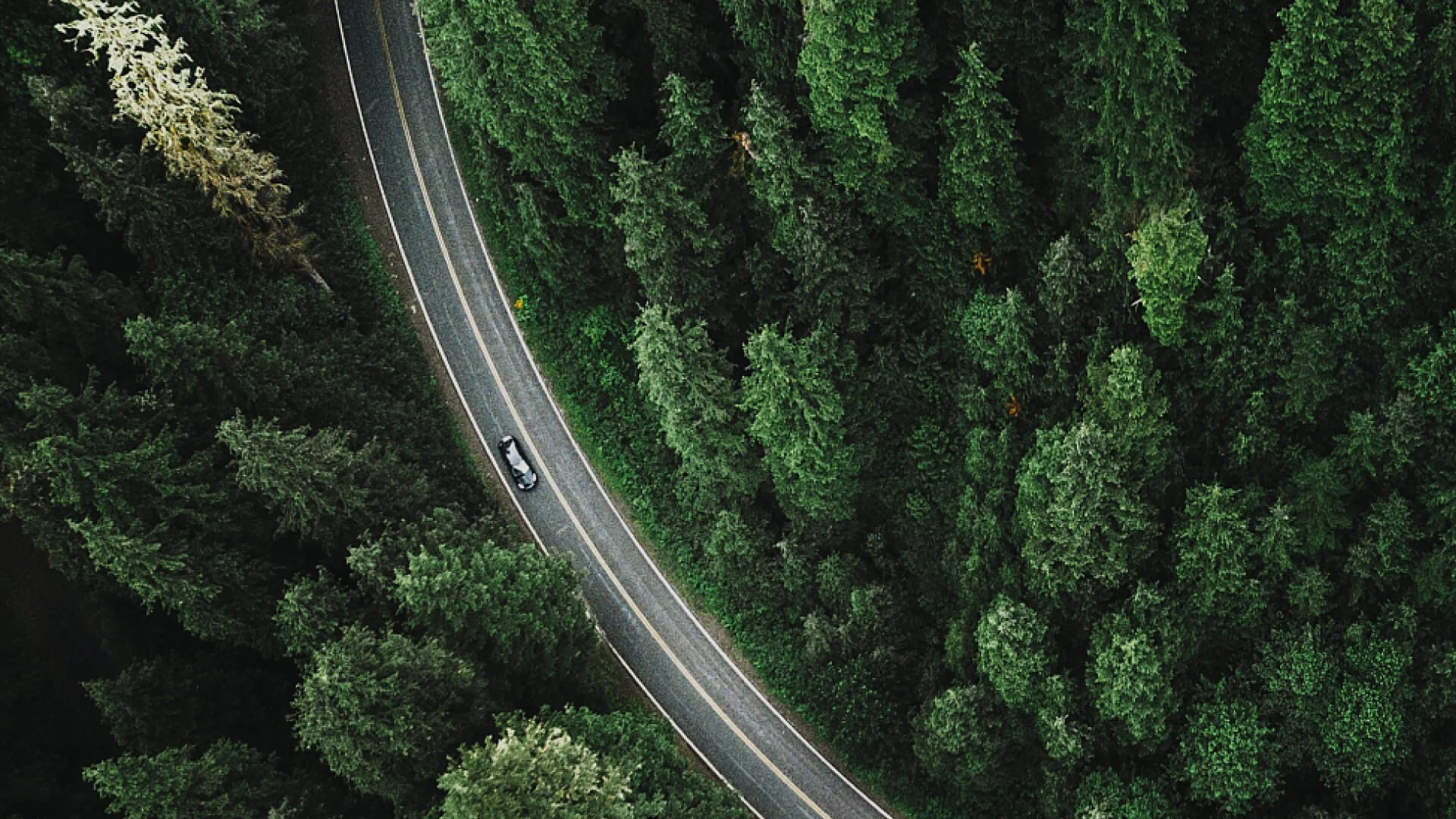 Geely lidera la nueva energía líquida con su ecosistema global de metanoly tecnología Thor Alcohol-Hydrogen EF