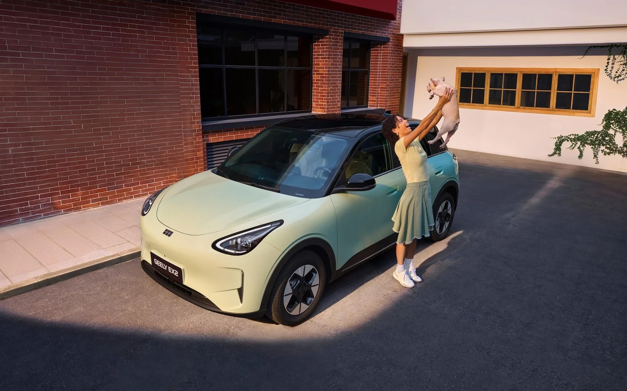 Mujer levantando un perro pequeño sobre un coche verde en una calle urbana, con fondo de edificios y árboles.