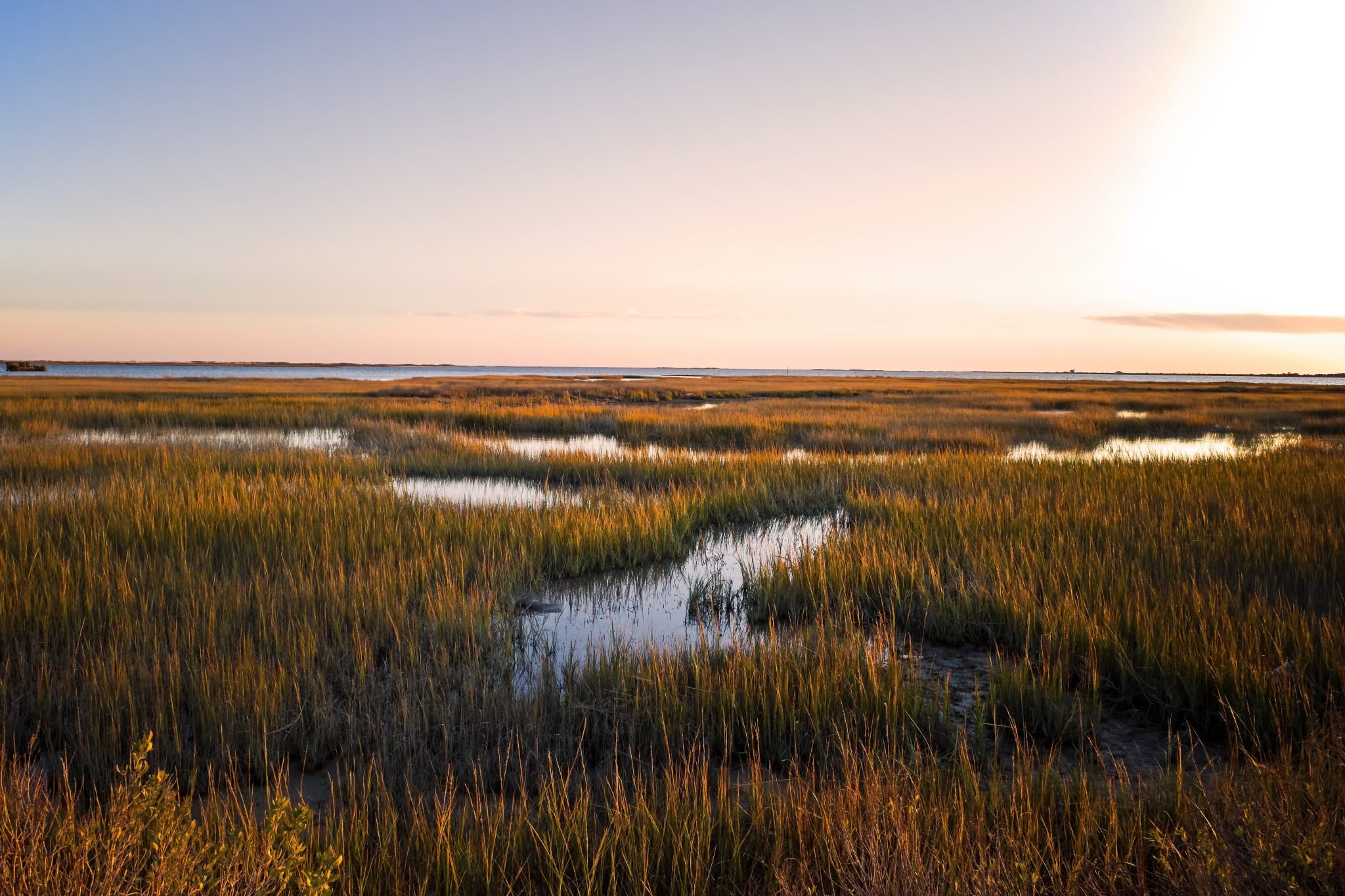 Sunset view of a marsh with tall grass and small water channels, under a clear sky.