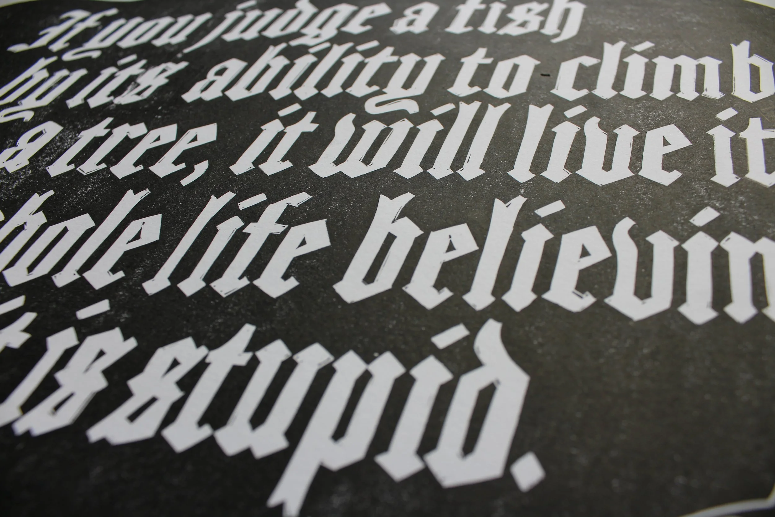 If you judge a fish - 5.JPG