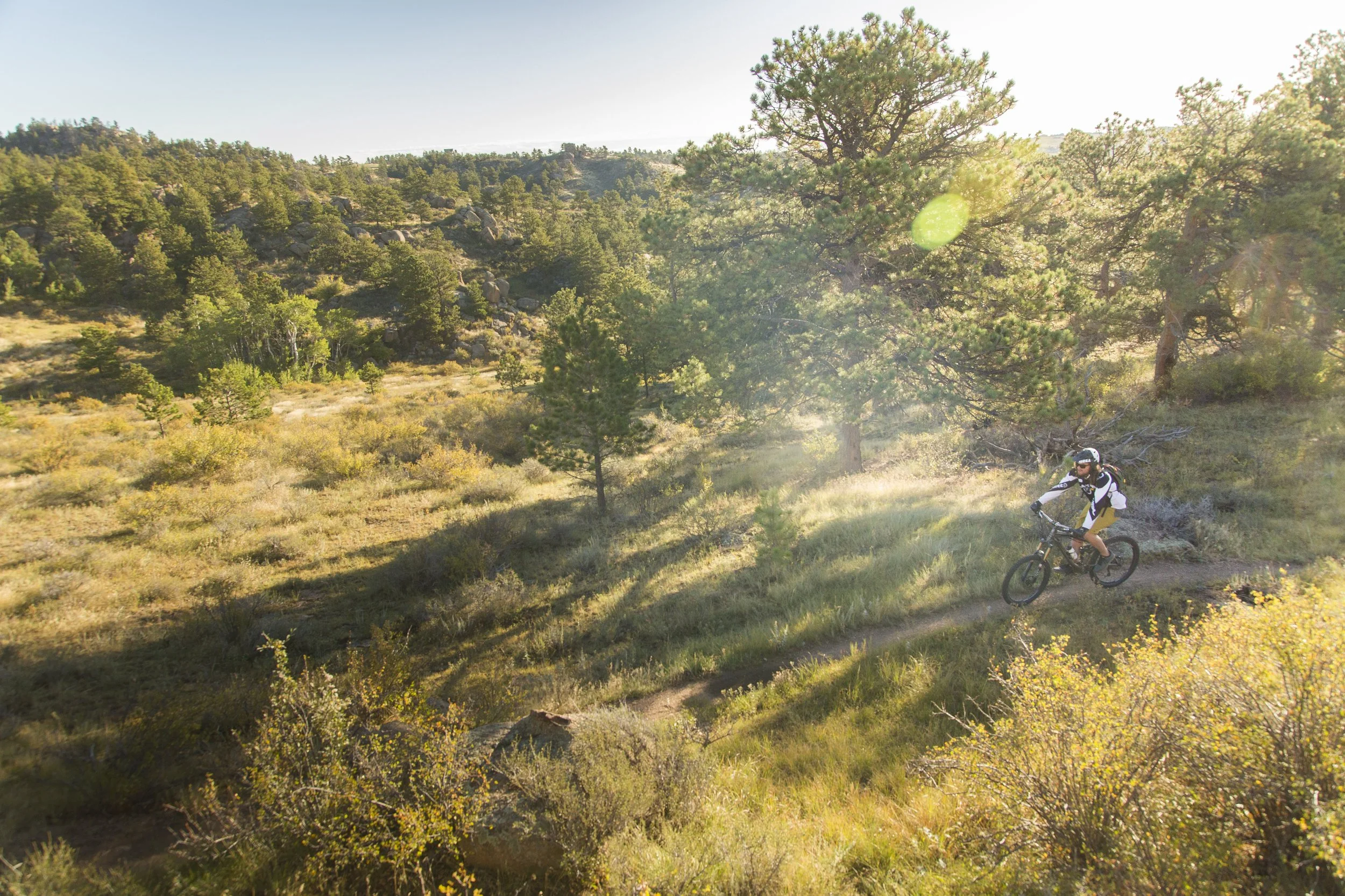 A person mountain biking along a trail in a sunny, wooded, mountainous landscape with trees and shrubs.