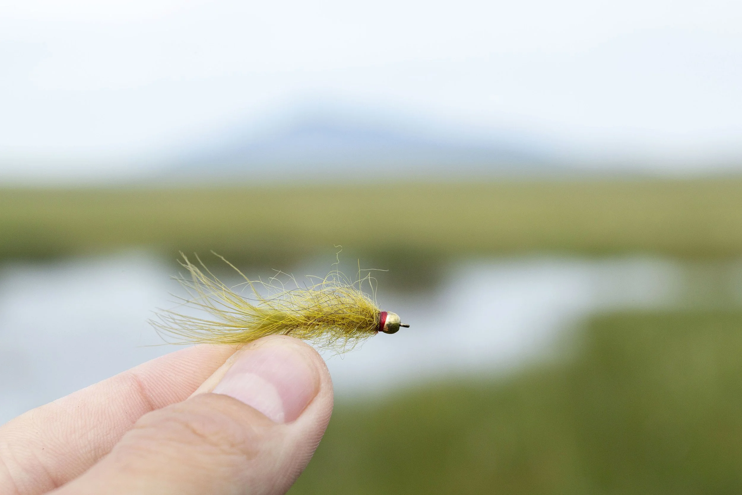 Close-up of a person's hand holding a fishing fly during daytime with blurred background of a lake and green landscape
