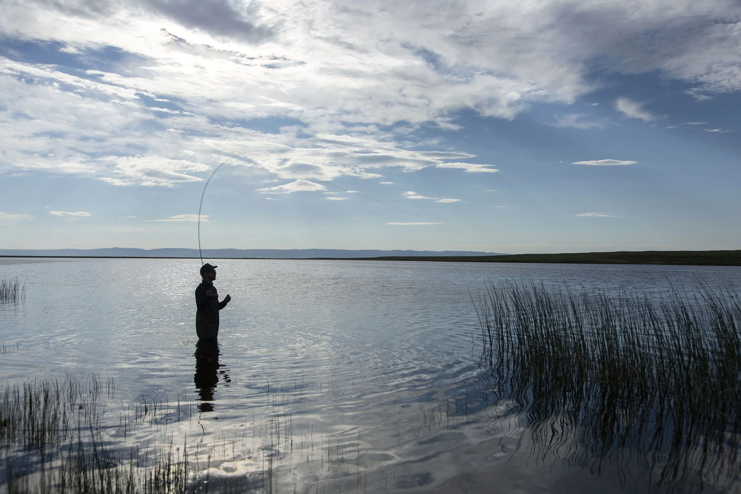 Person standing in water fishing with a rod at a lake, with reeds on the right and a cloudy sky above.